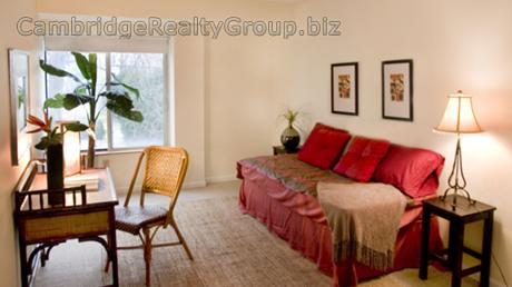 2 bed, 2 bath apartment for rent at 345 Franklin St Unit 206T, Central Square — photo 5 of 23