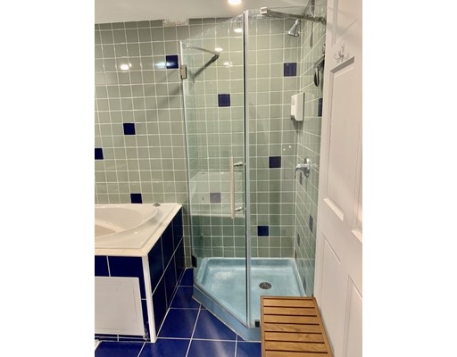1 bed, 1 bath apartment for rent at 726 Metropolitan Ave Unit G, Hyde Park — photo 33 of 47