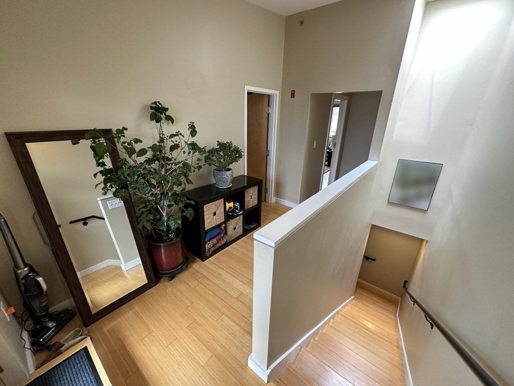 2 bed, 2 bath apartment for rent at 50 Athens St Unit 7, South Boston — photo 18 of 25