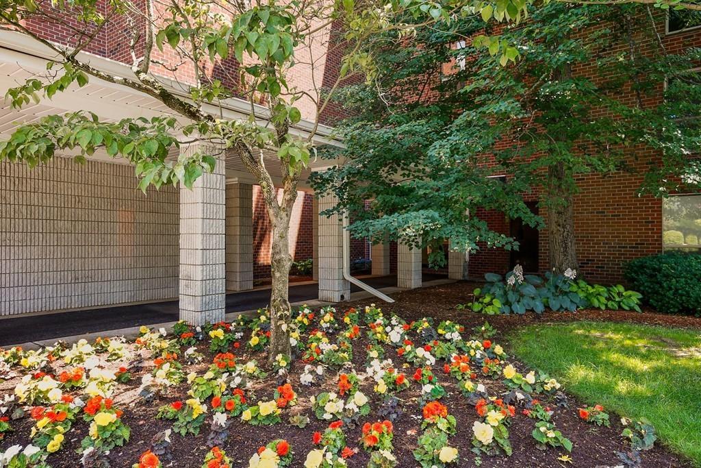 1 bed, 1 bath apartment for rent at 50 Broadlawn Park Unit 507, Chestnut Hill — photo 4 of 11