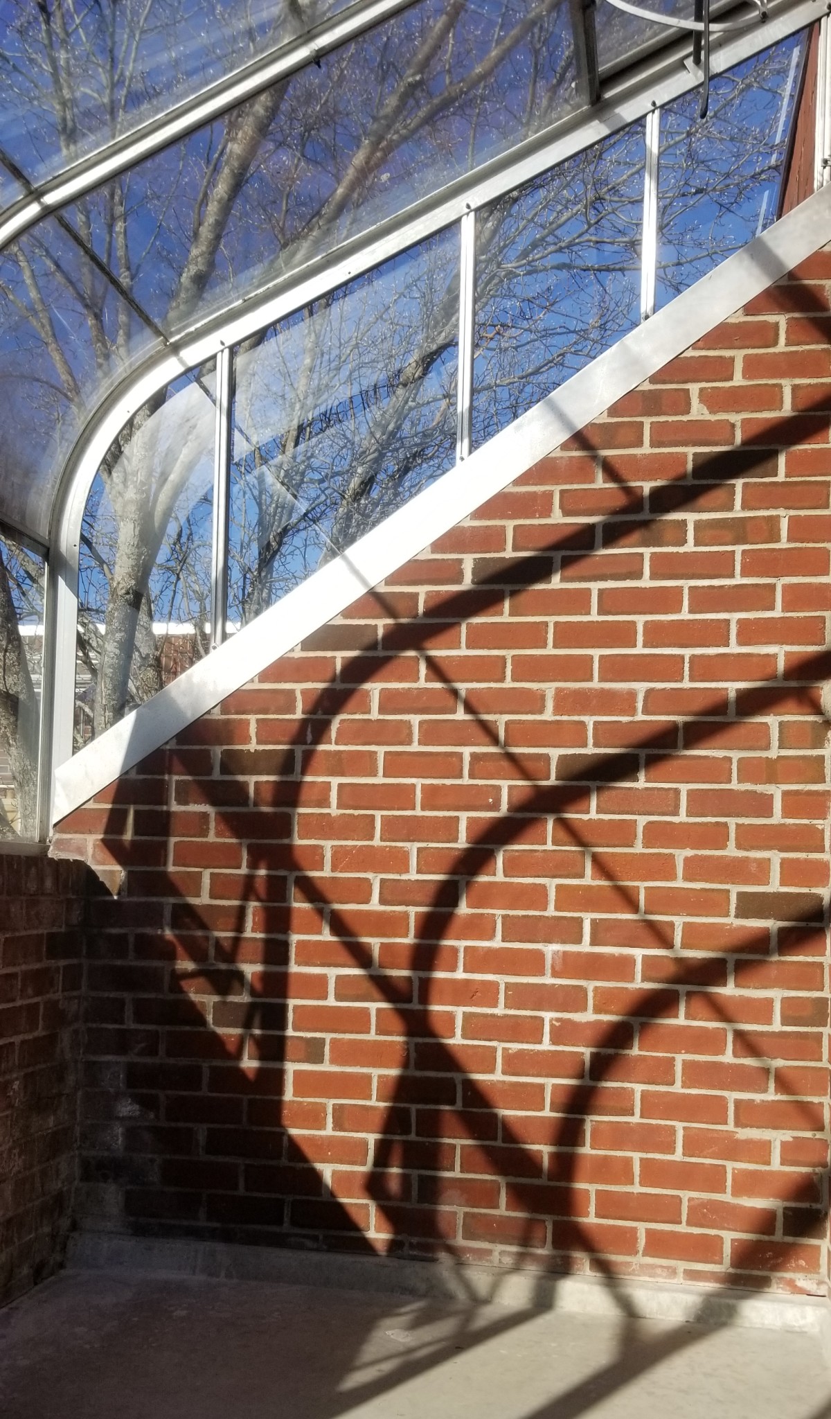 1 bed, 1 bath apartment for rent at 50 Broadlawn Park Unit 5, Chestnut Hill — photo 11 of 12