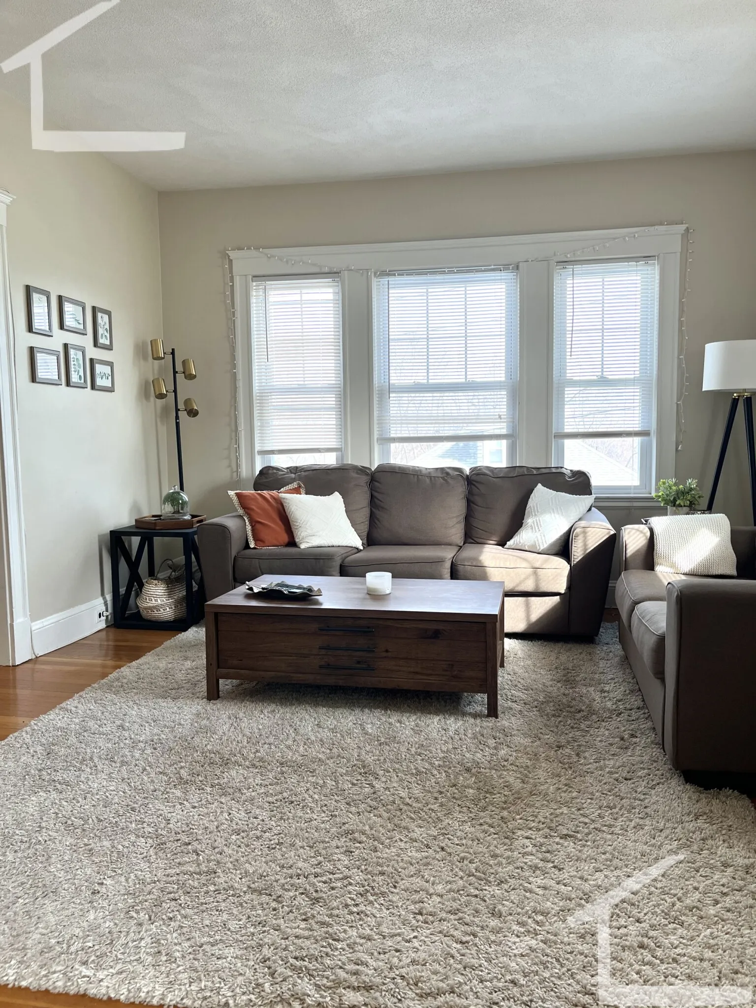 41 North Crescent Circuit, Brighton