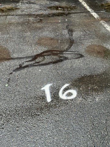 82 Boylston Ln, Lowell