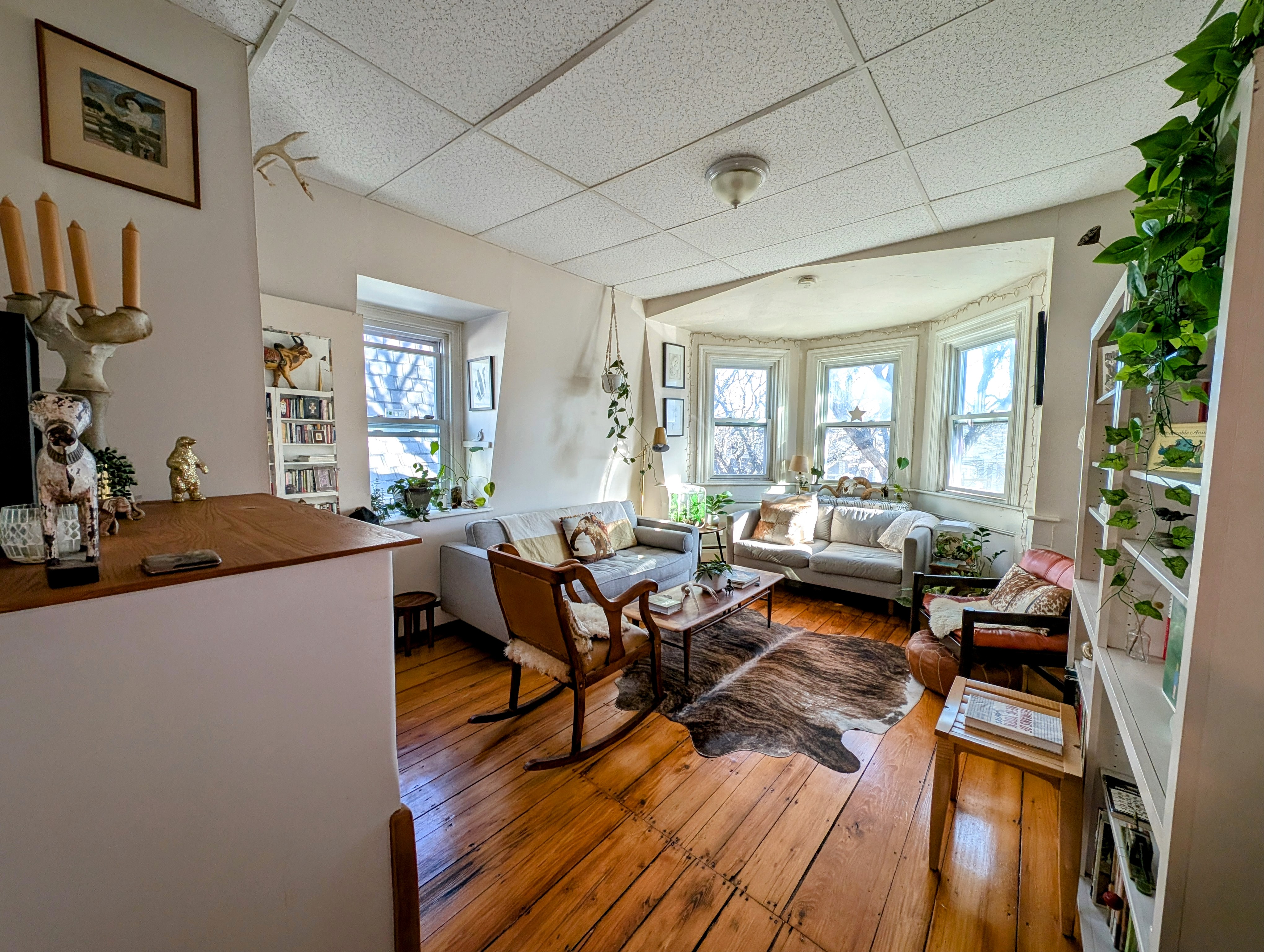 379 Windsor St, Wellington-Harrington