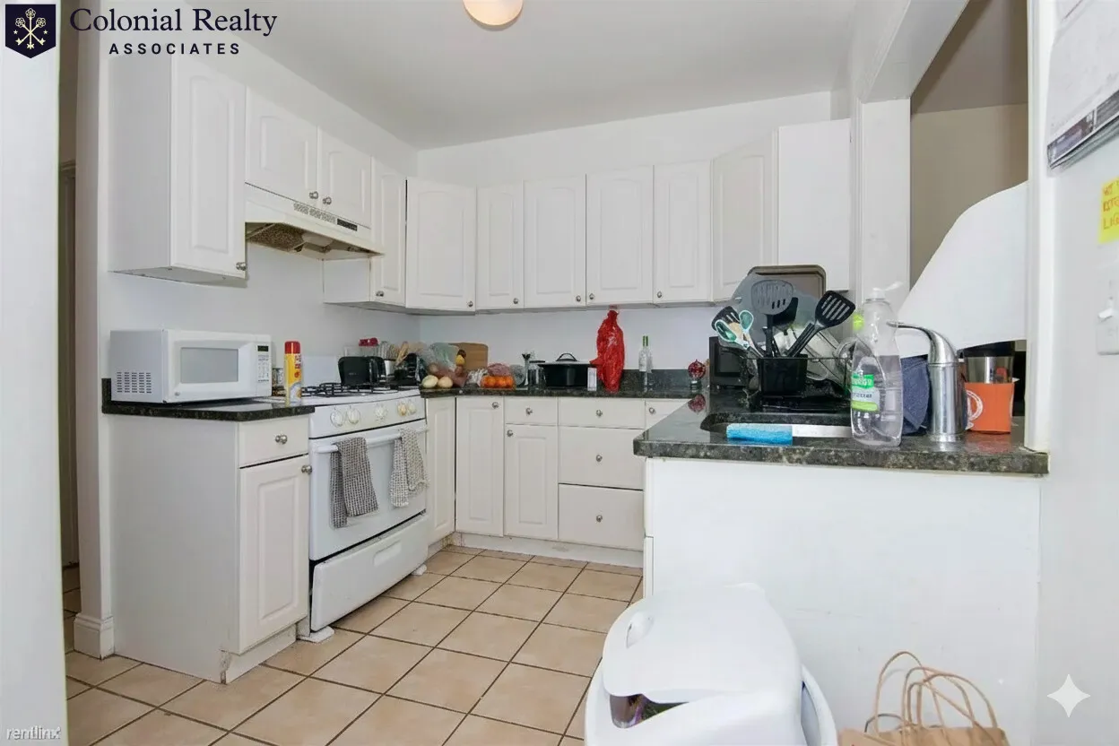 62 Egmont St, North Brookline