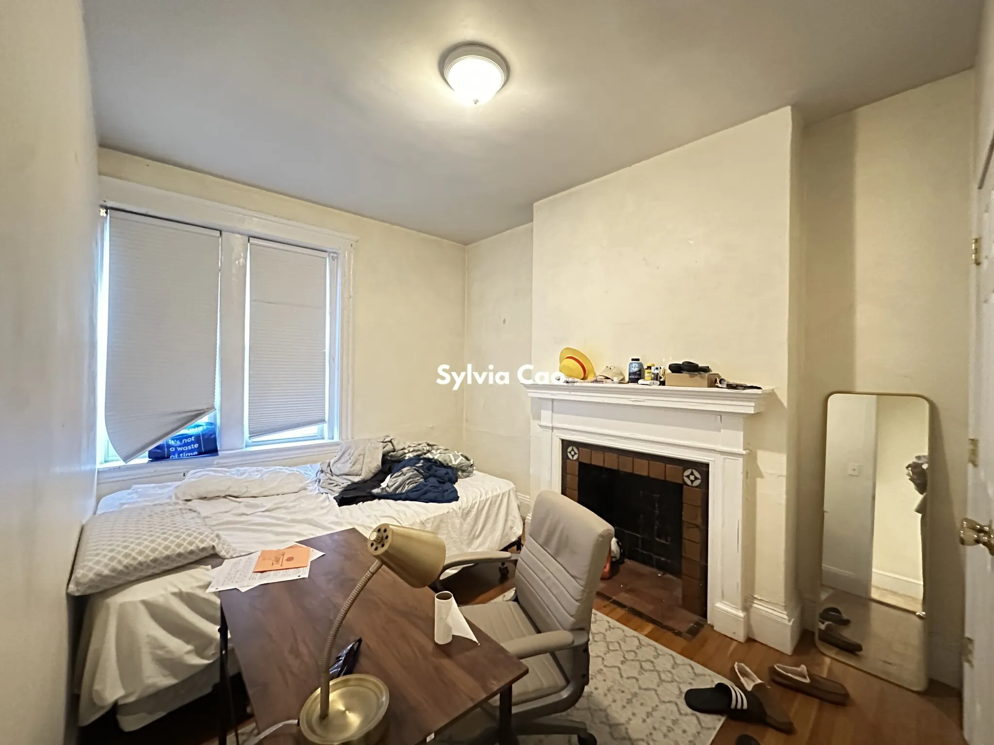 56 Egmont St, North Brookline