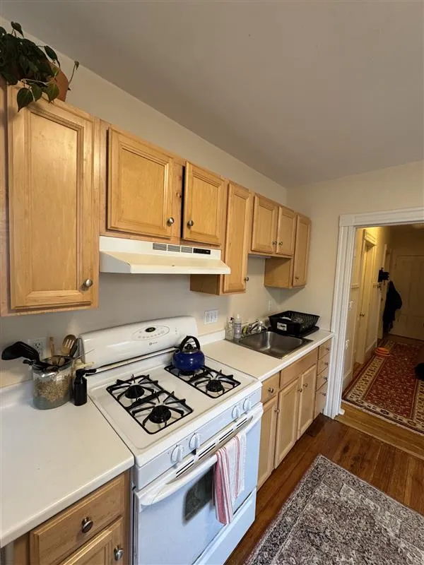 33 Belmont St, Spring Hill