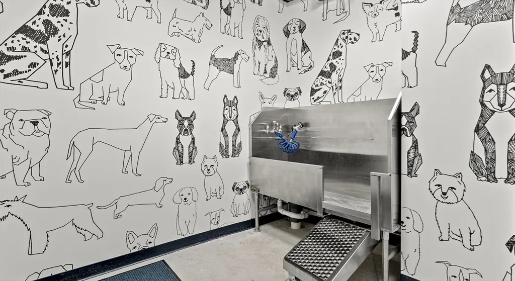 1515 Commonwealth Ave, Brighton