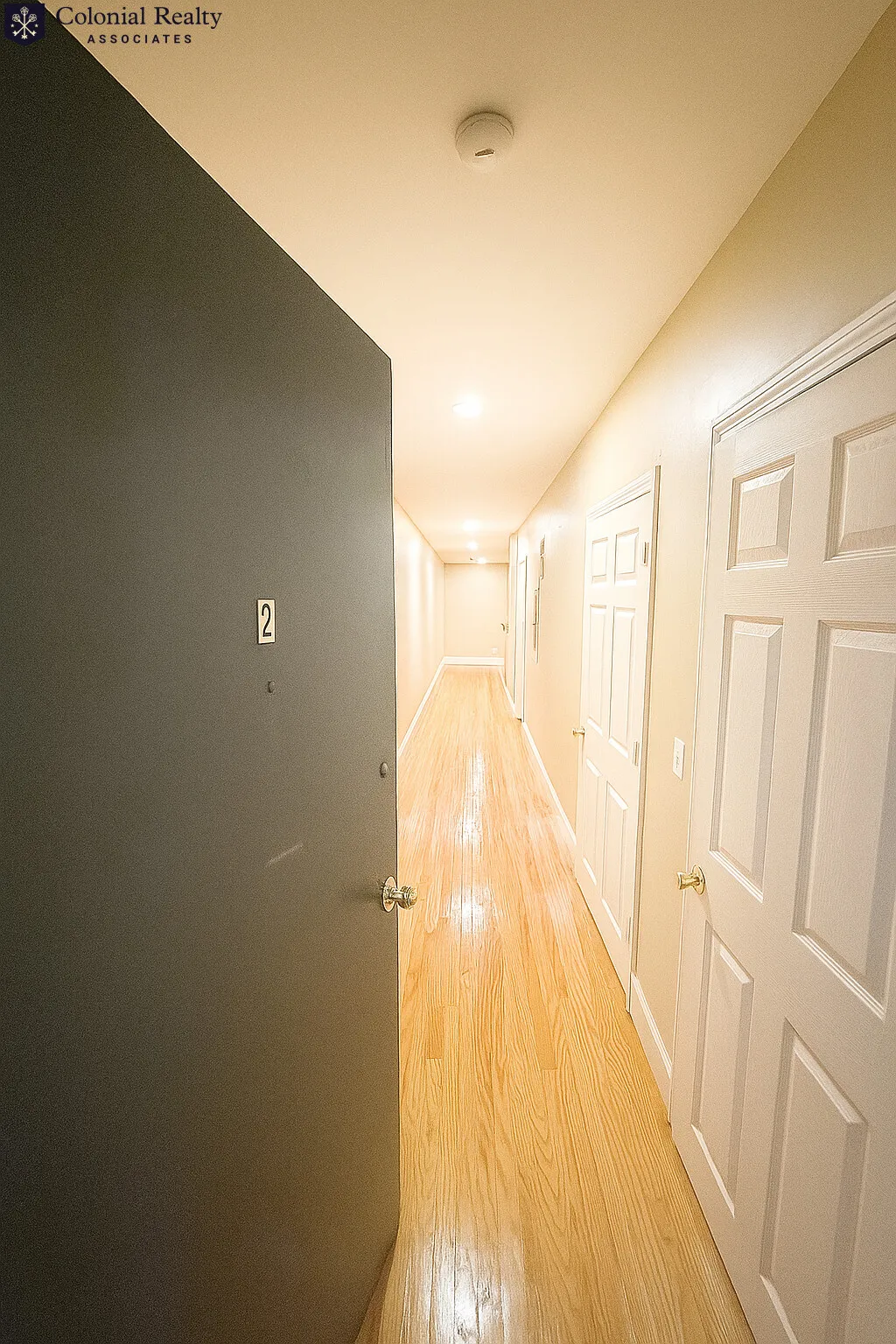 60 Egmont St, North Brookline