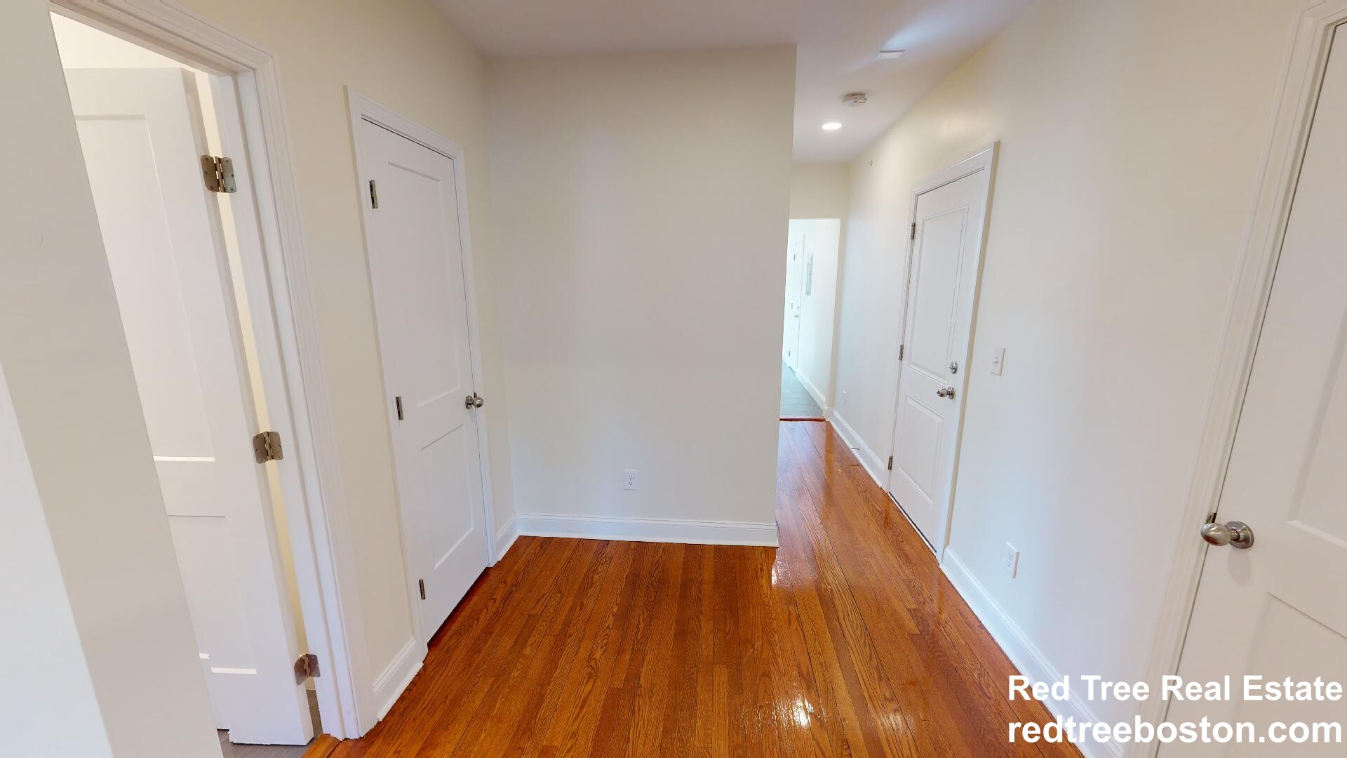 123 Sutherland Rd, Brighton