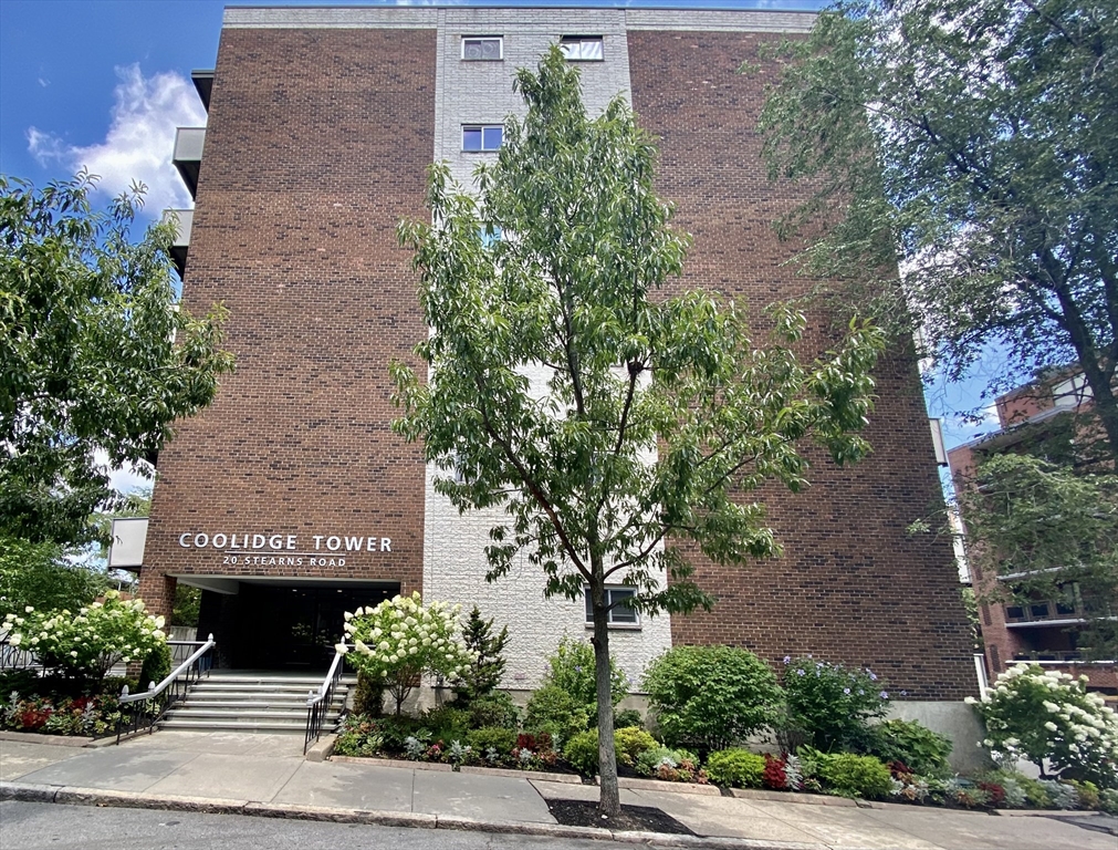 20 Stearns Rd, Coolidge Corner