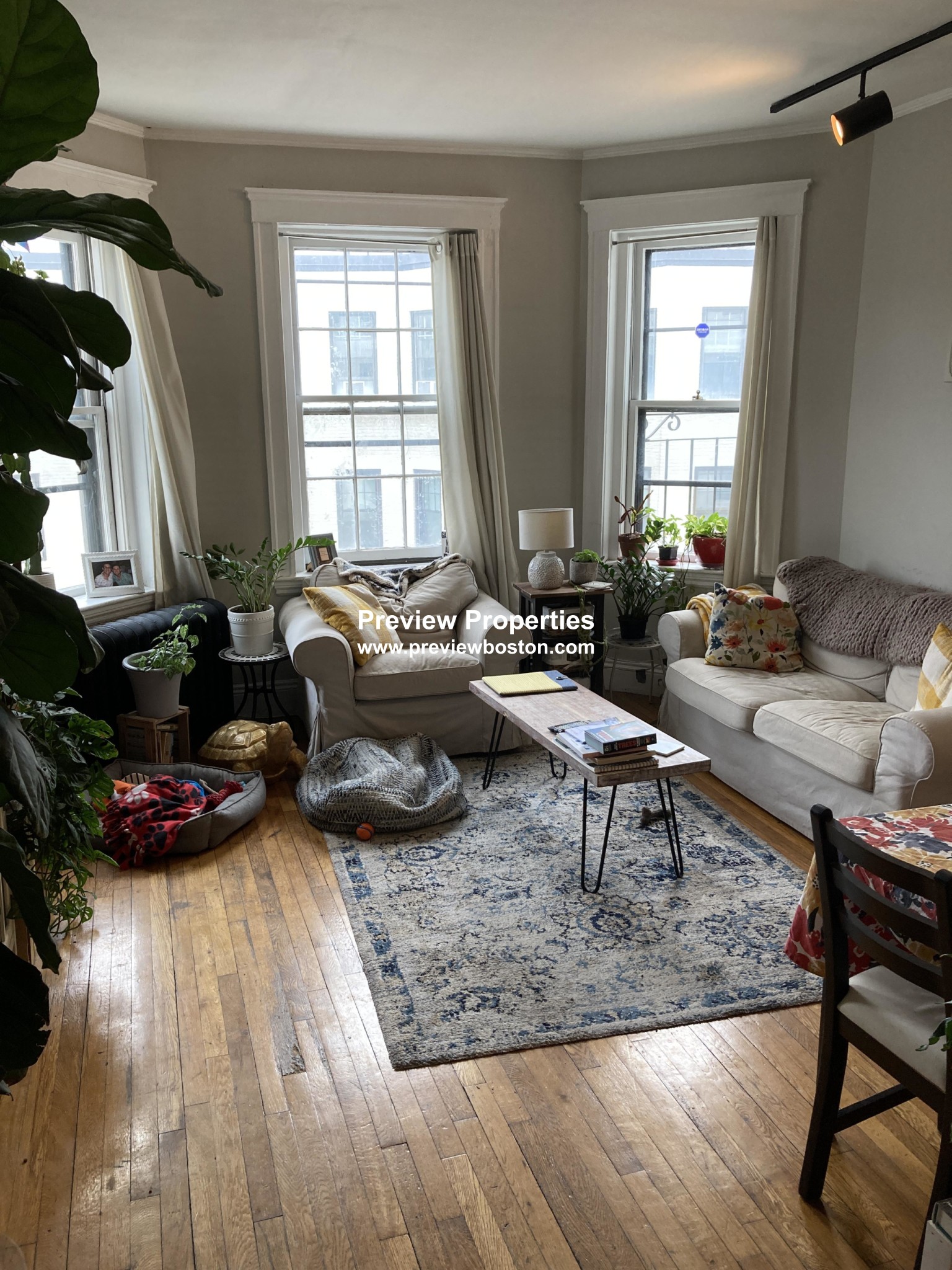 1572 Commonwealth Ave, Brighton