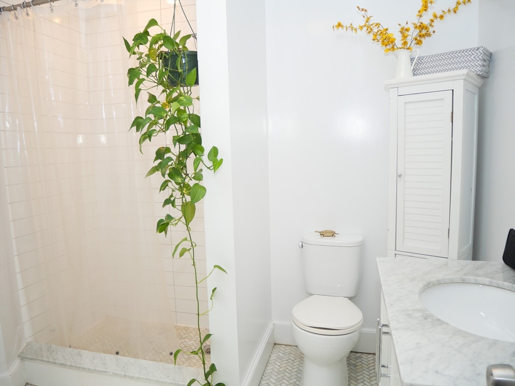 45 Carlton, Longwood