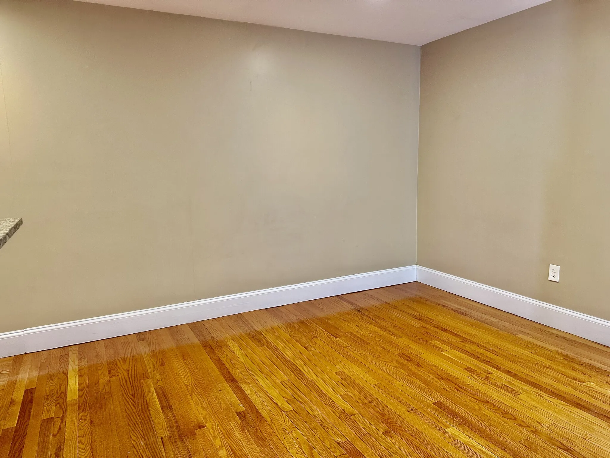 72 Egmont St, North Brookline