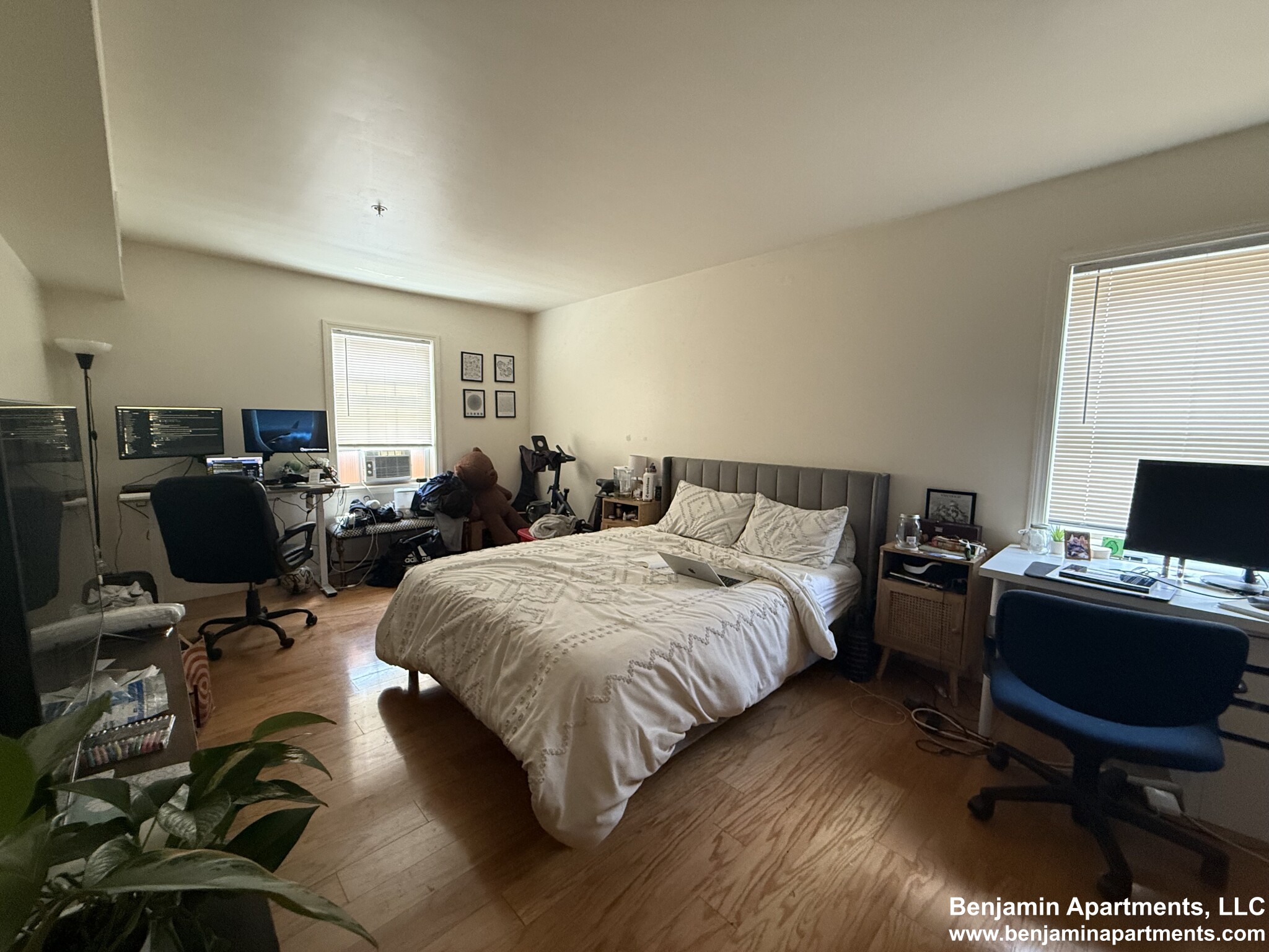 36 Raymond St, Lower Allston