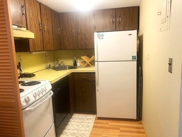 57 Saint Paul St, Coolidge Corner