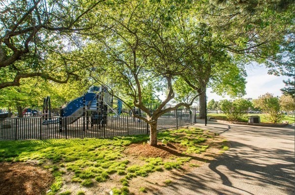 117 Gore St, Cambridge