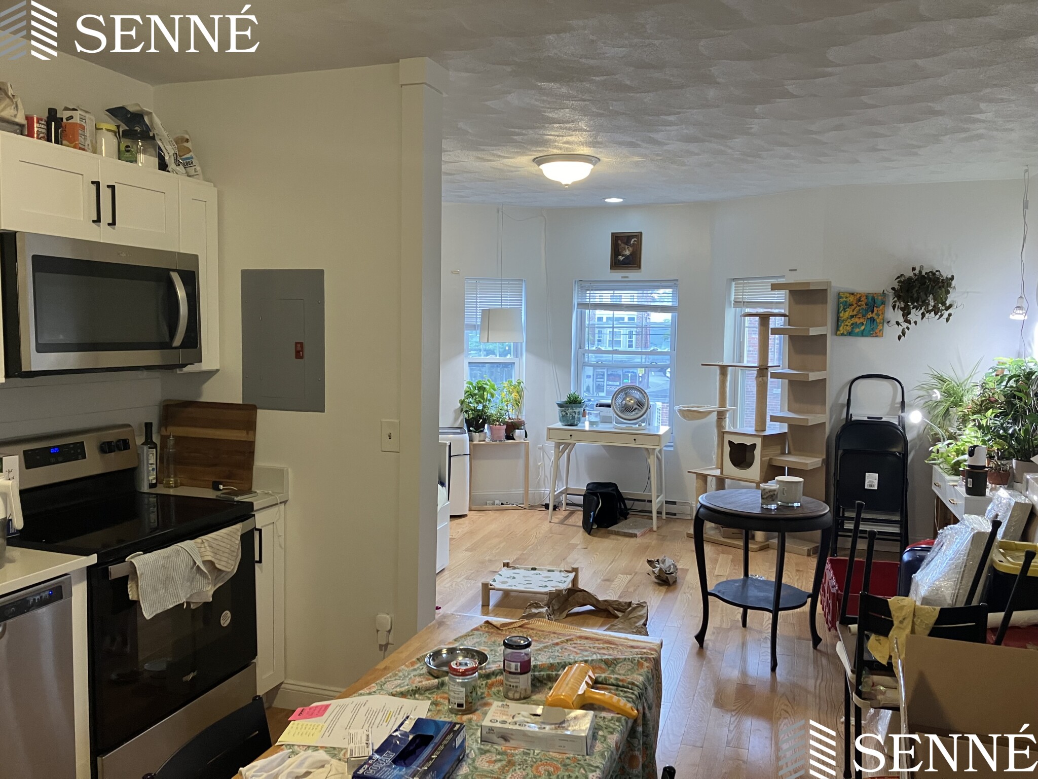 12 Winter St, Davis Square