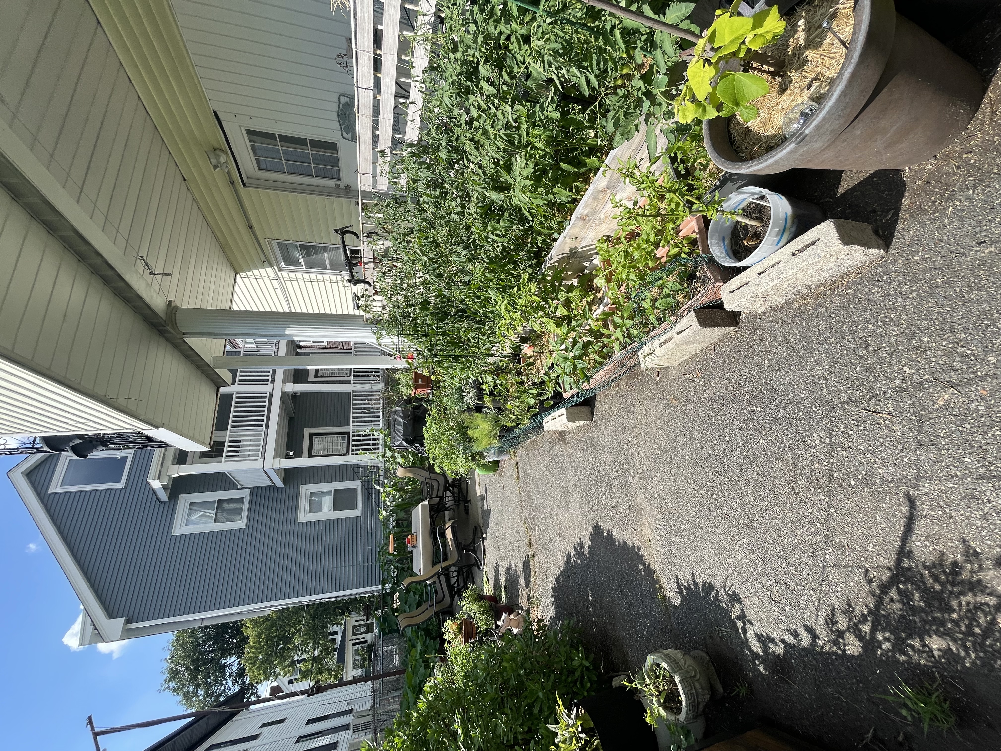 293 Boston Ave, Medford