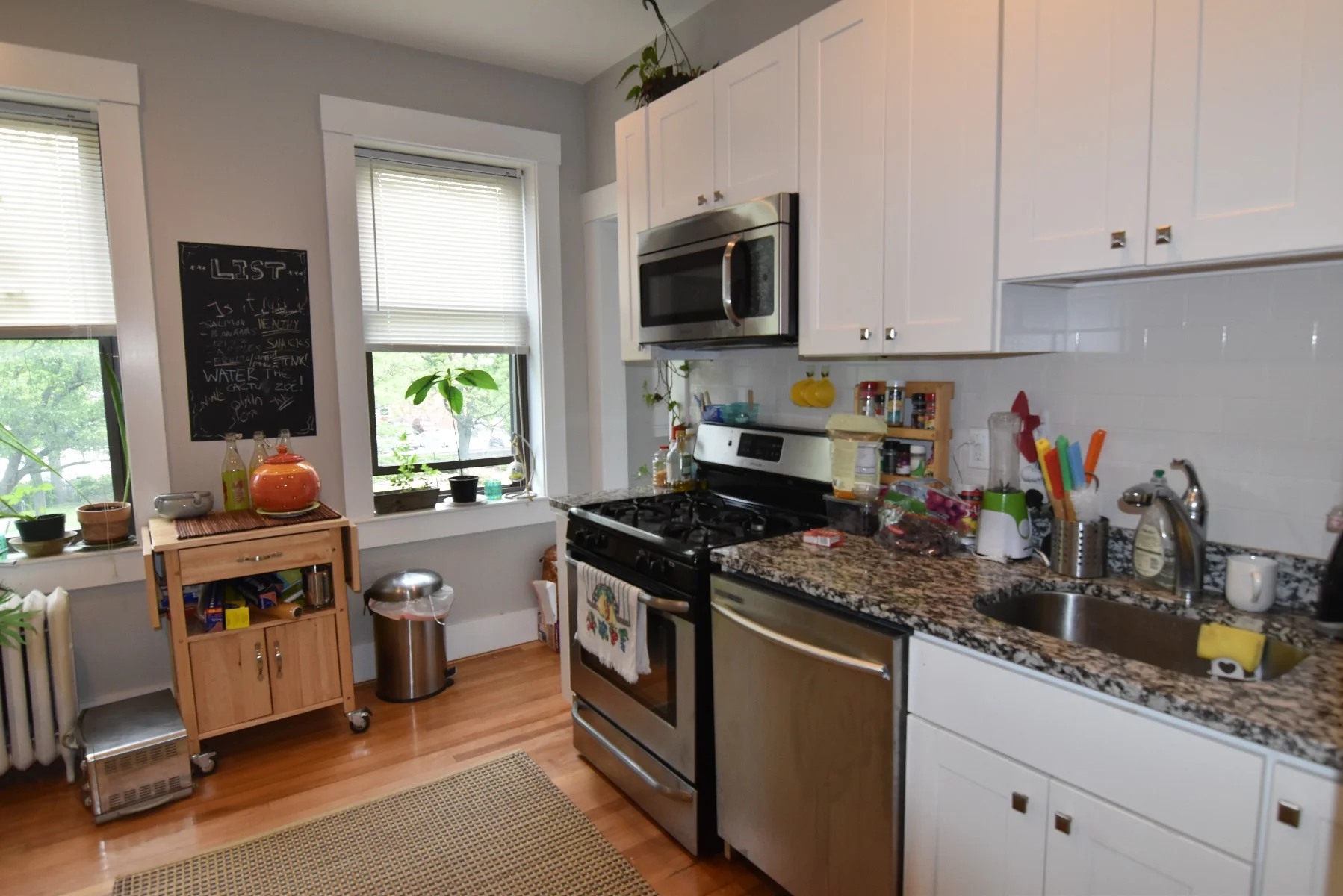 9 Greenway Ct, Coolidge Corner