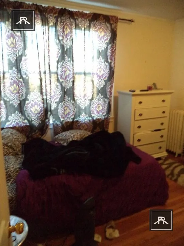 56 Egmont St, North Brookline