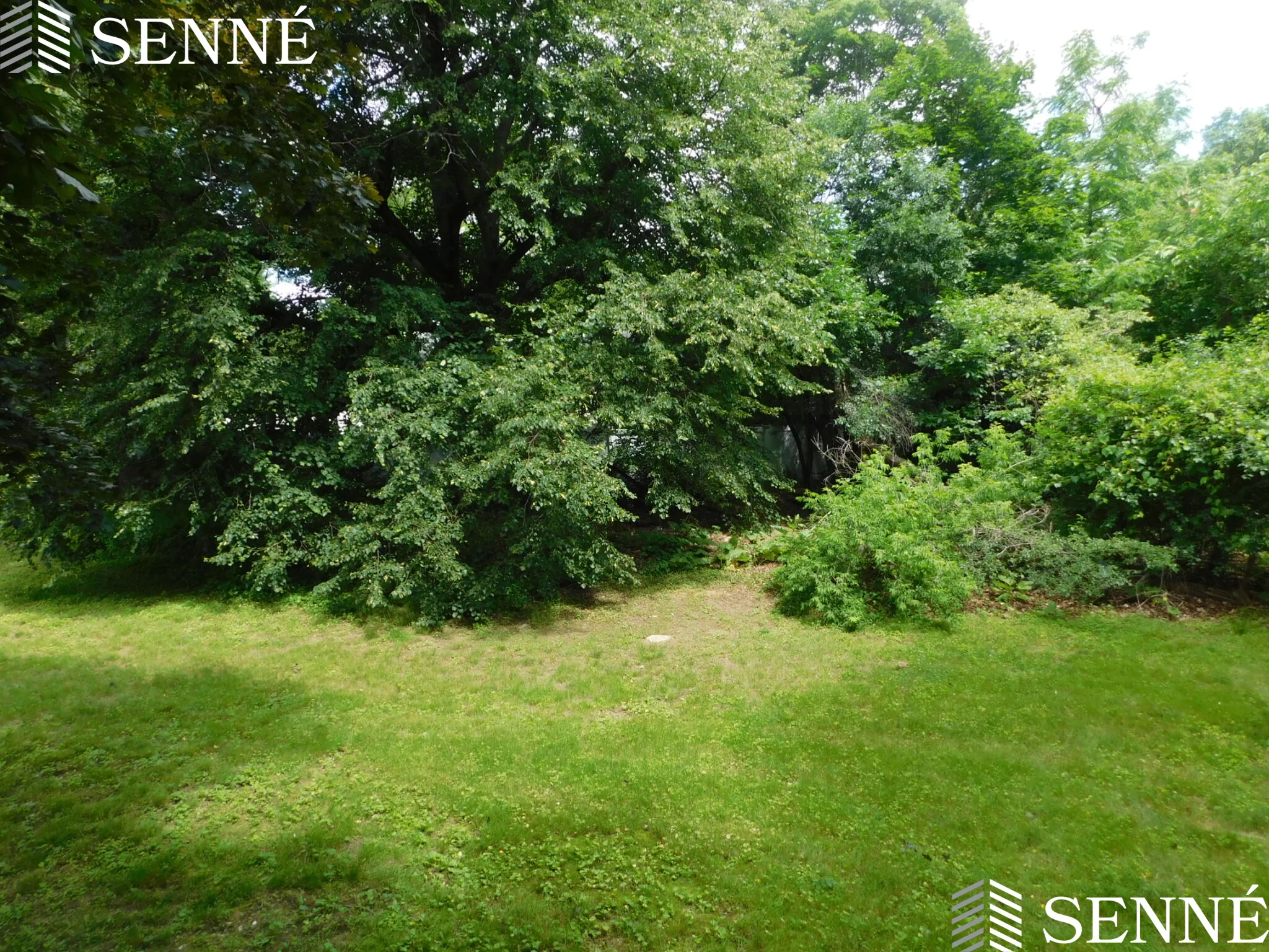 5 Middle St, Lexington