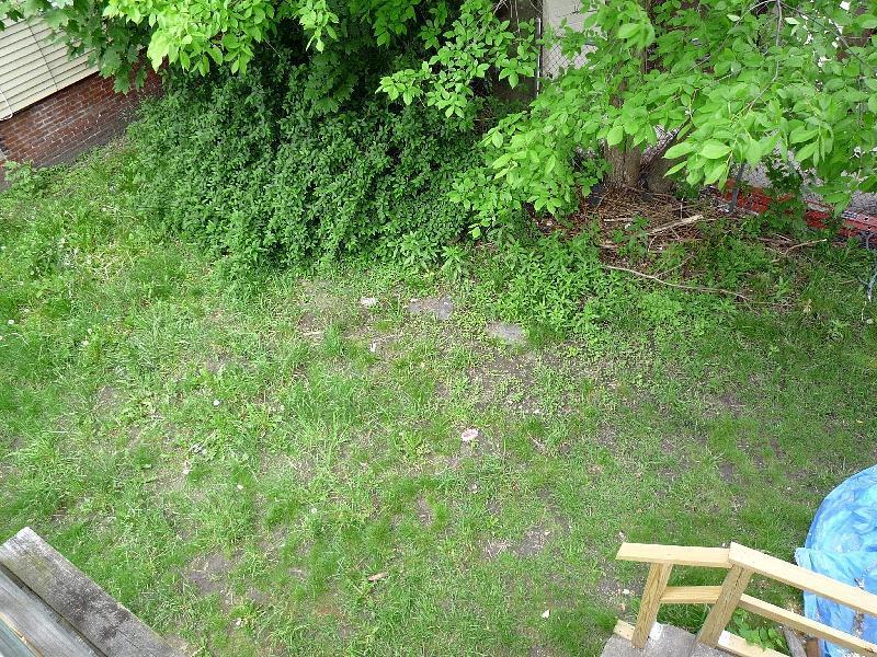 14 Everett St, Ward Two