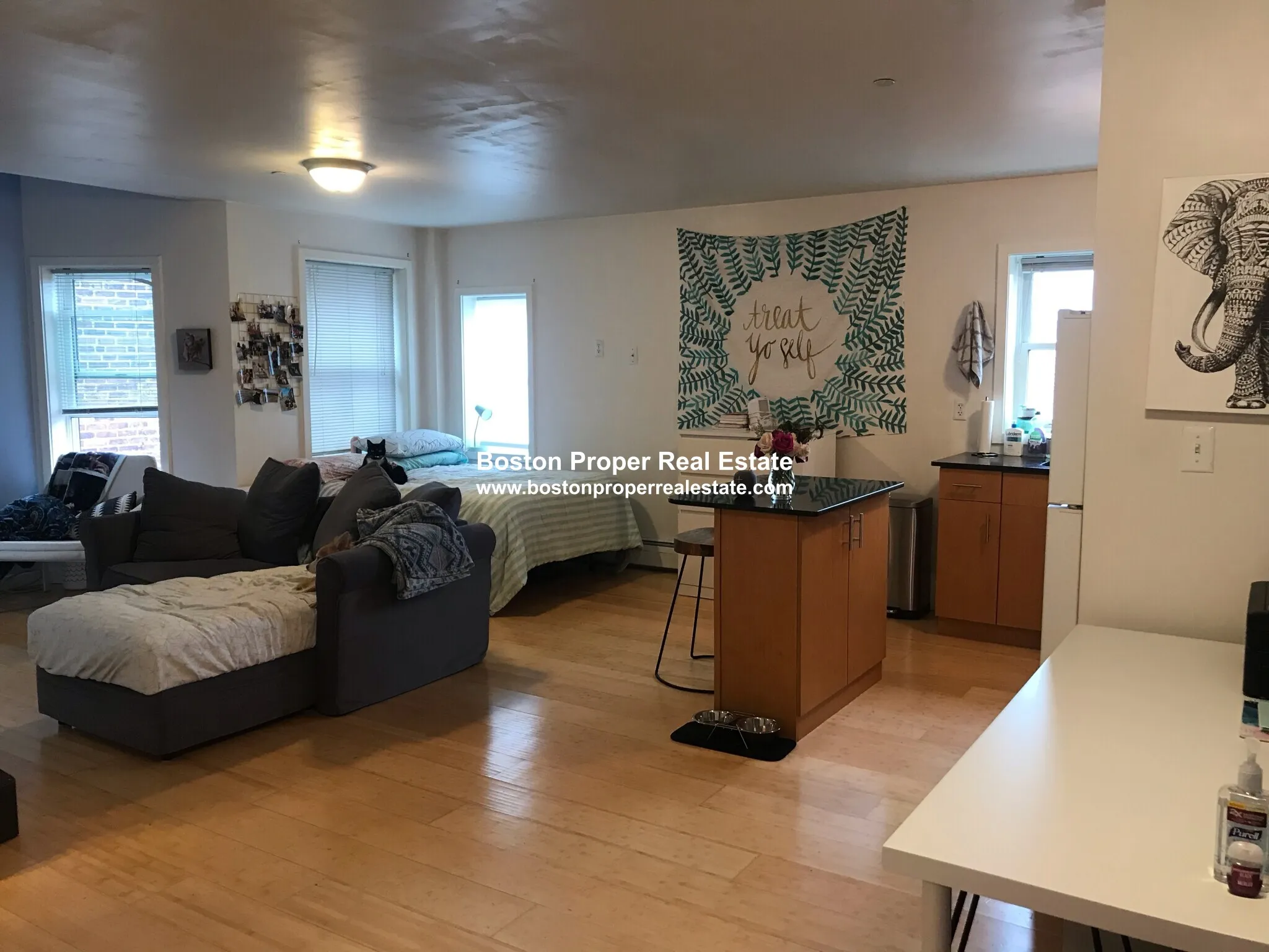 461 Park Dr, Fenway