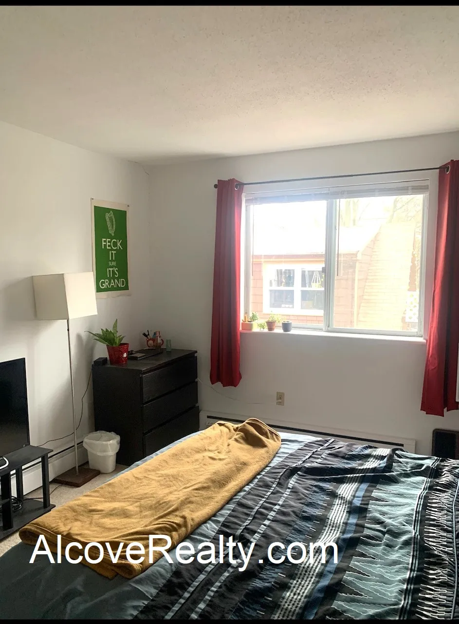 41 Belmont St, Spring Hill