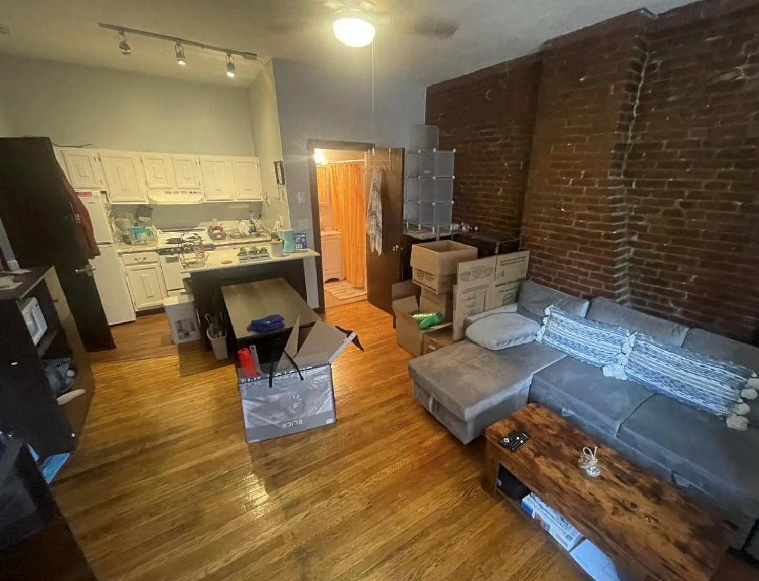 1 bed, 1 bath apartment for rent at 520 Columbus Ave Unit 8, Roxbury — photo 2 of 11