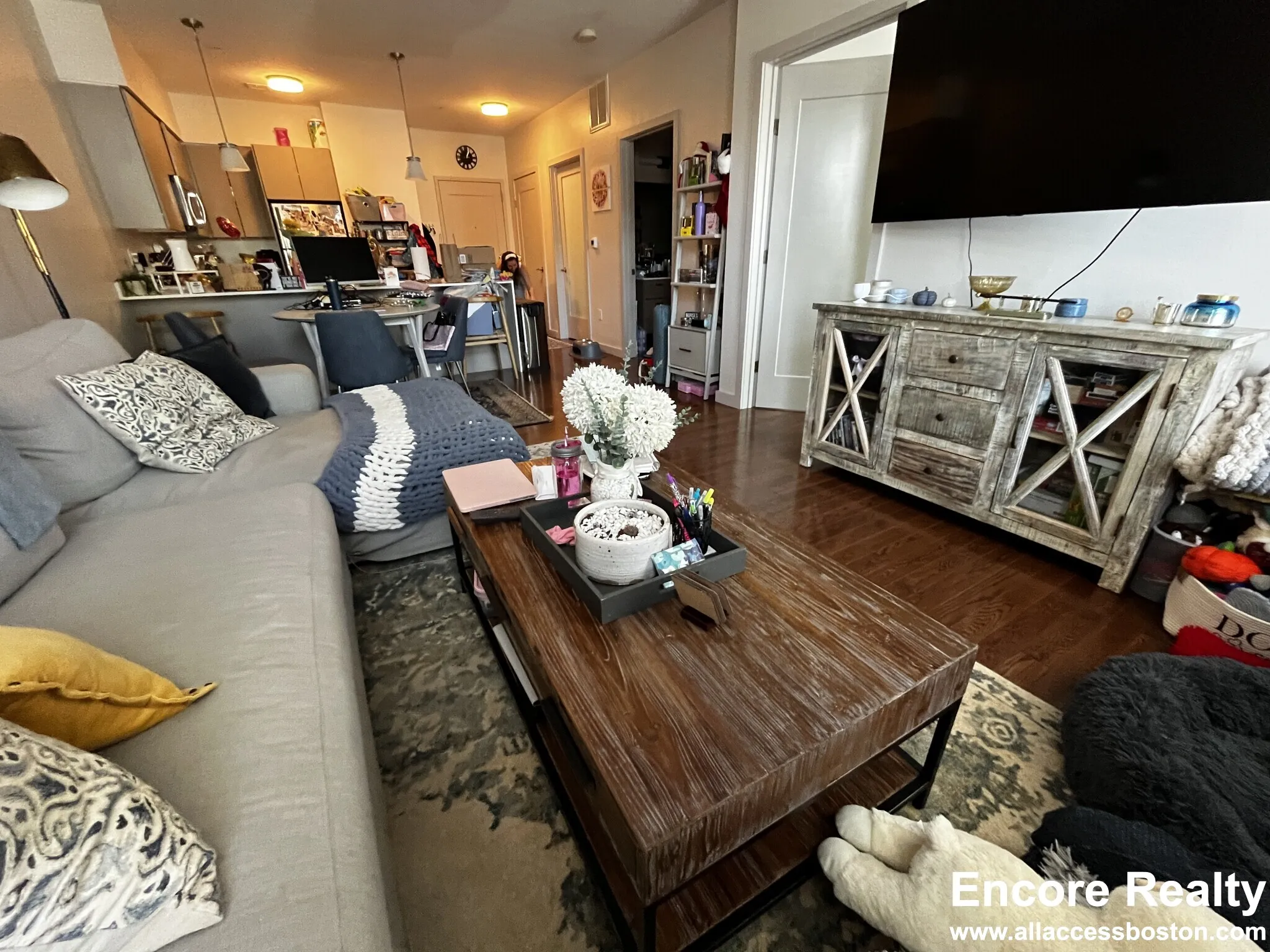 455 Harvard St, North Brookline