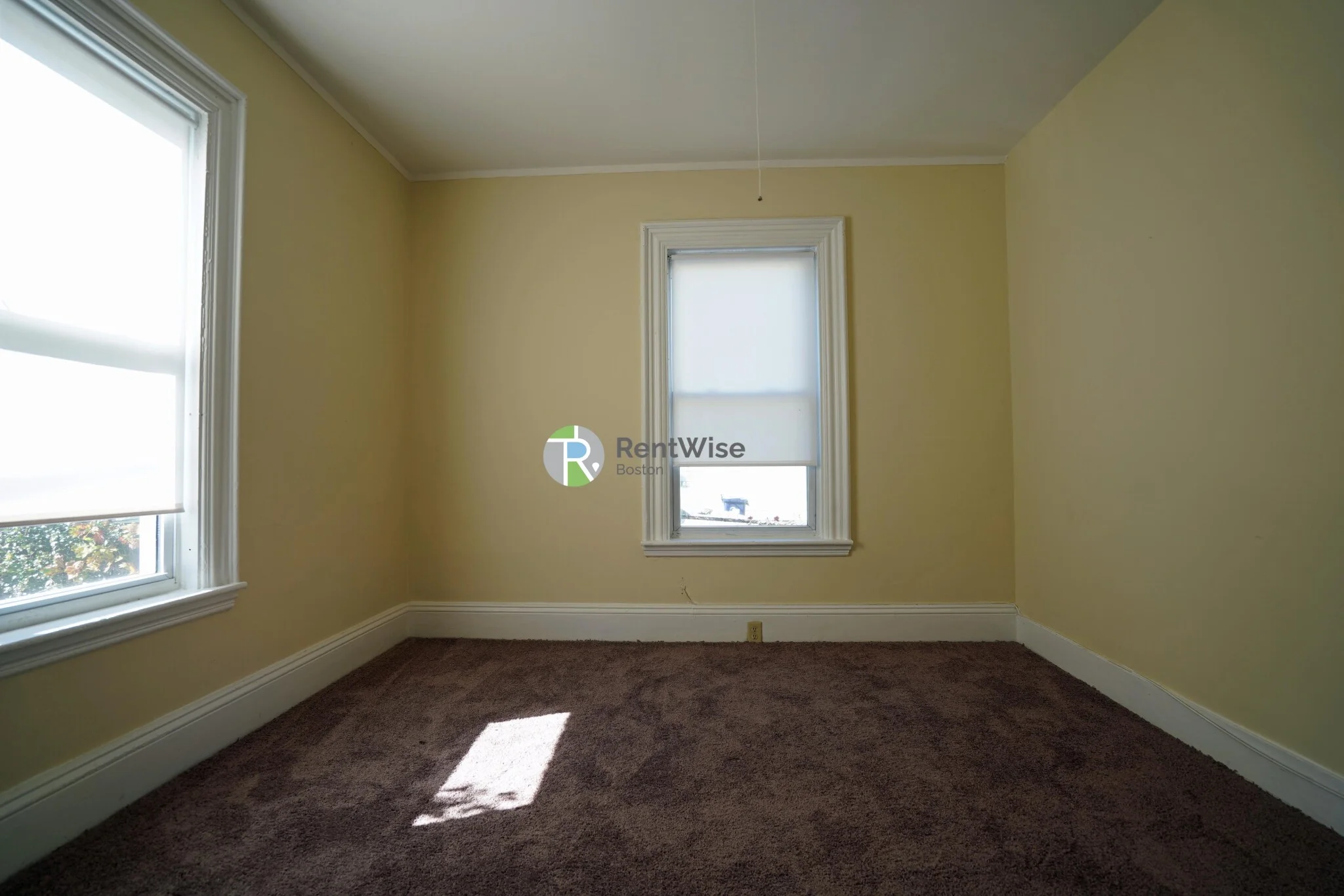 22 Greylock Rd, Brighton