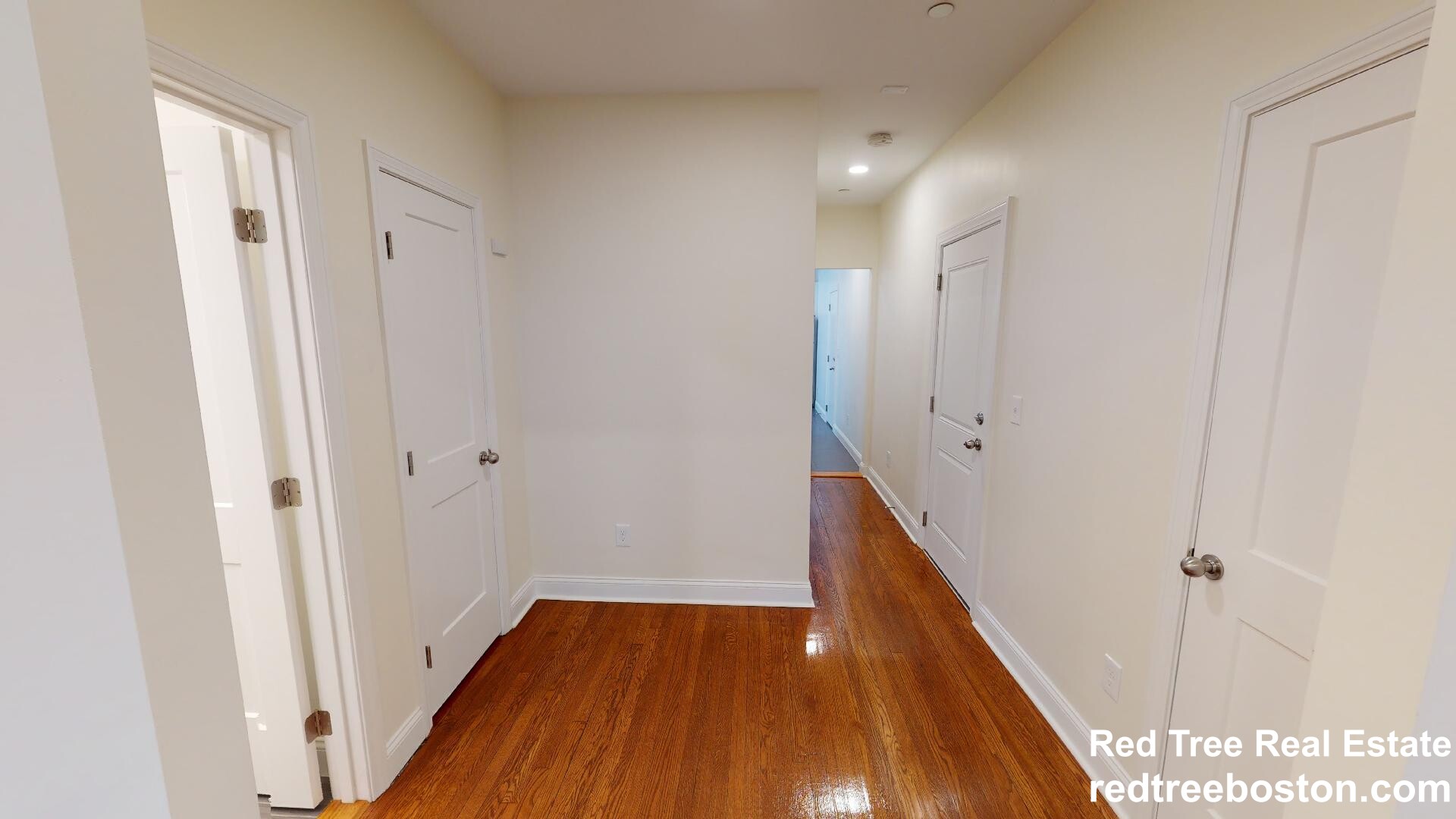 123 Sutherland Rd, Brighton