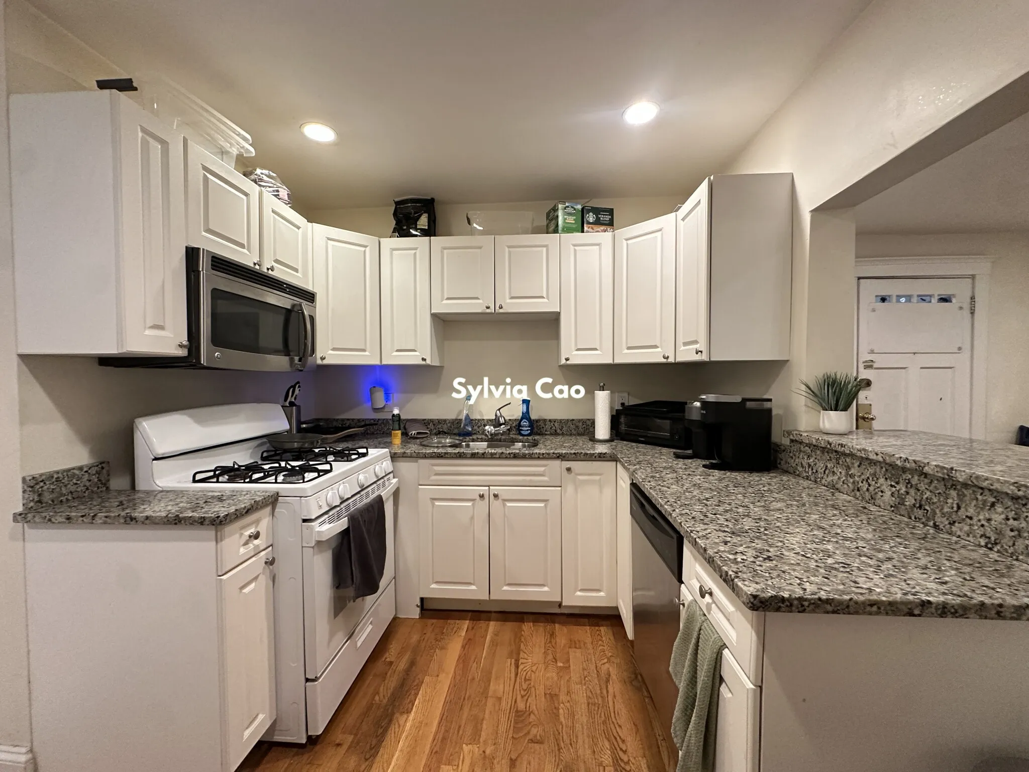 56 Egmont St, North Brookline