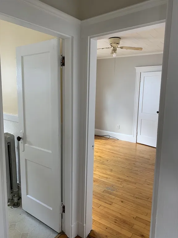 50 Windsor Rd, South Medford