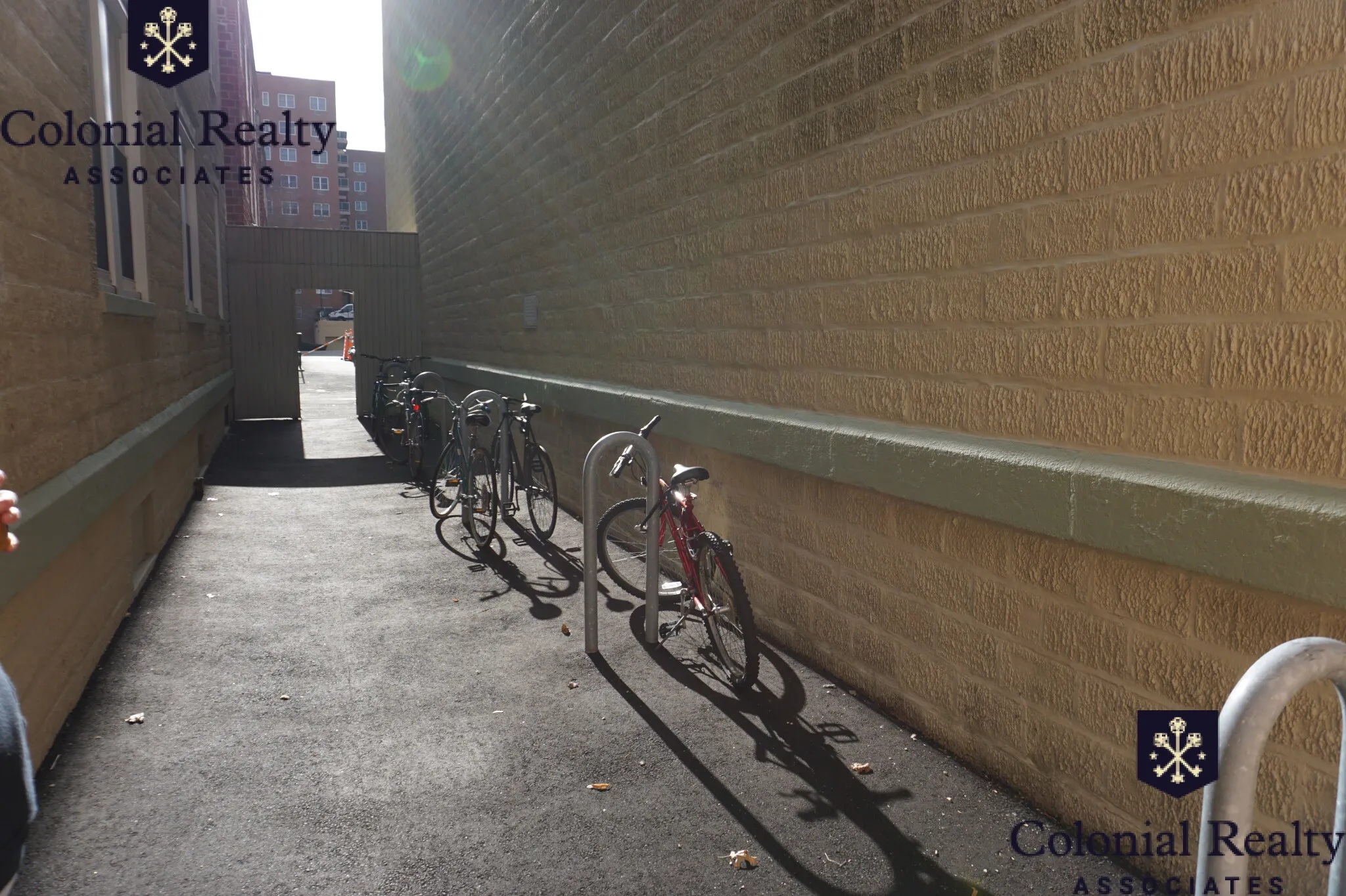 56 Egmont St, North Brookline