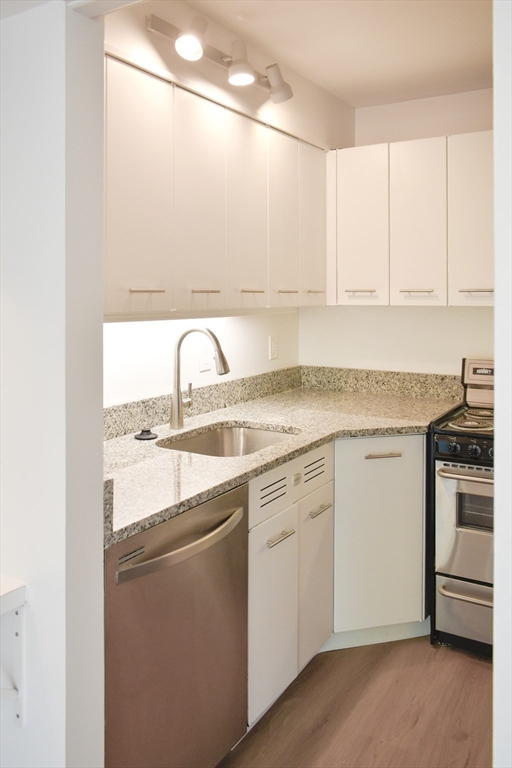 29 Concord Ave, Harvard Square