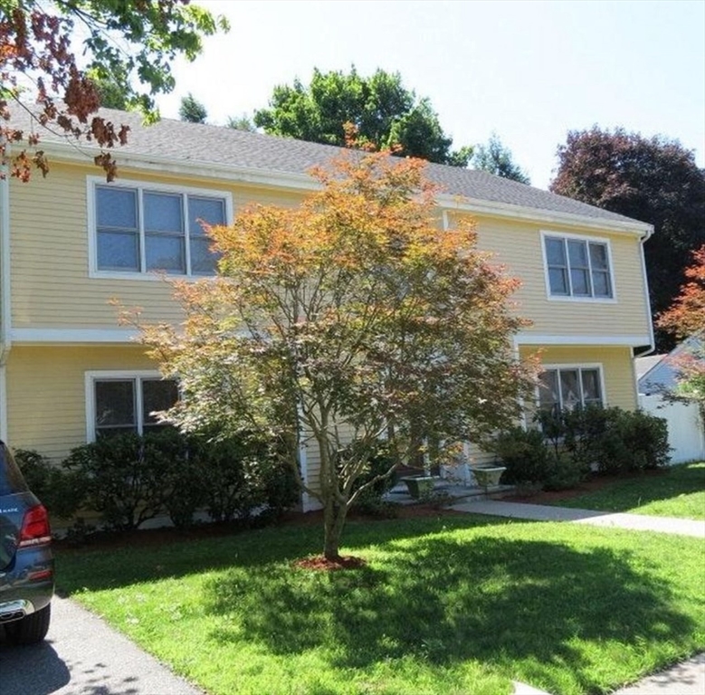 203 Spiers Rd, Newton