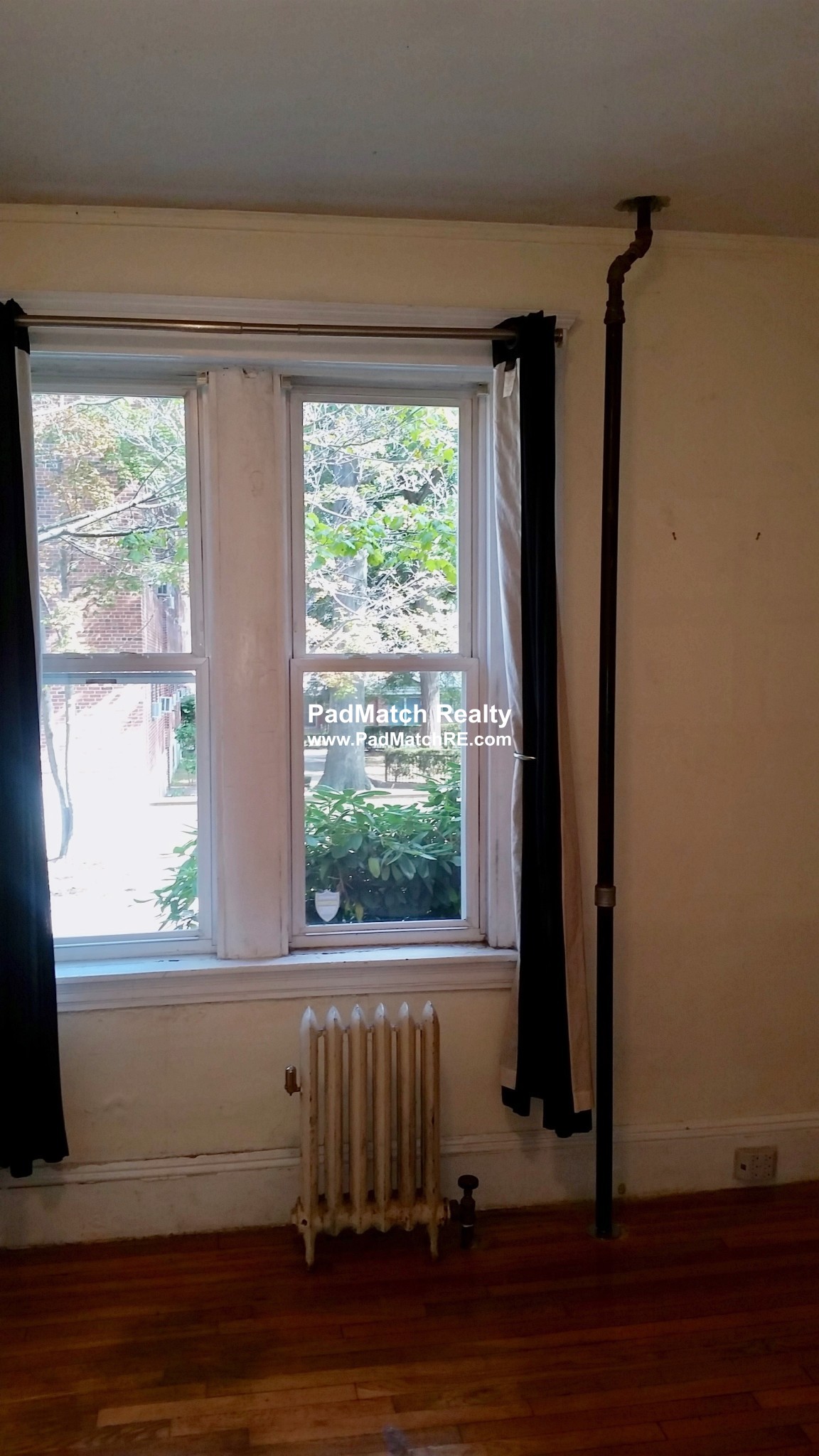 62 Egmont St, Longwood