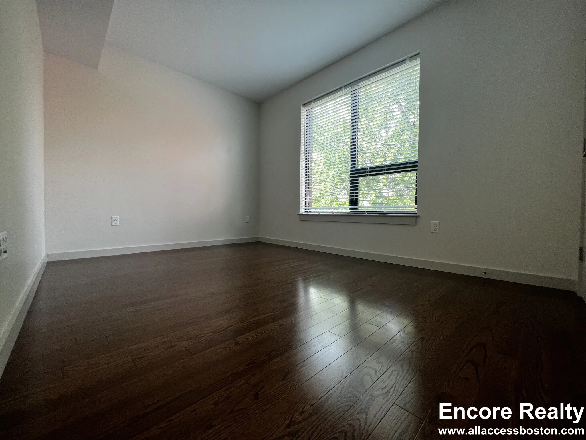 455 Harvard St, North Brookline