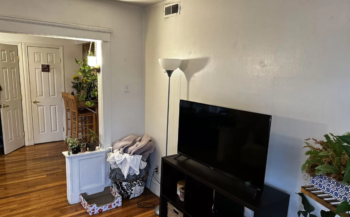 223 Summer St, Spring Hill