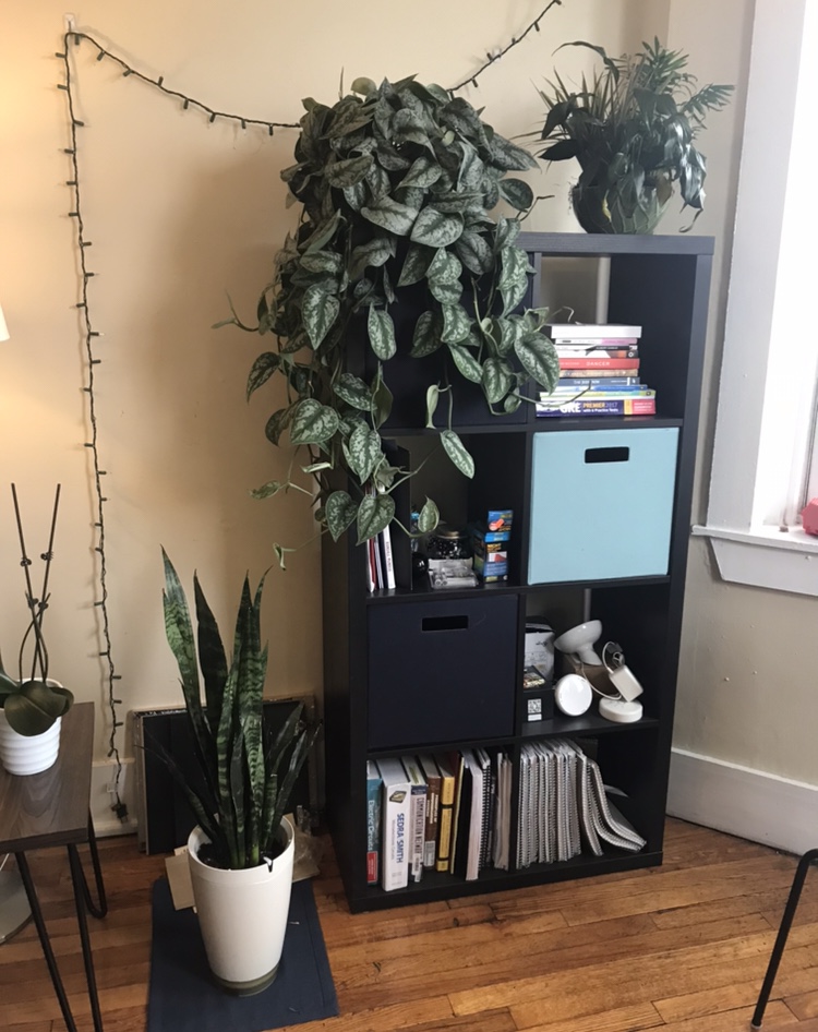 1197 Commonwealth Ave, Allston