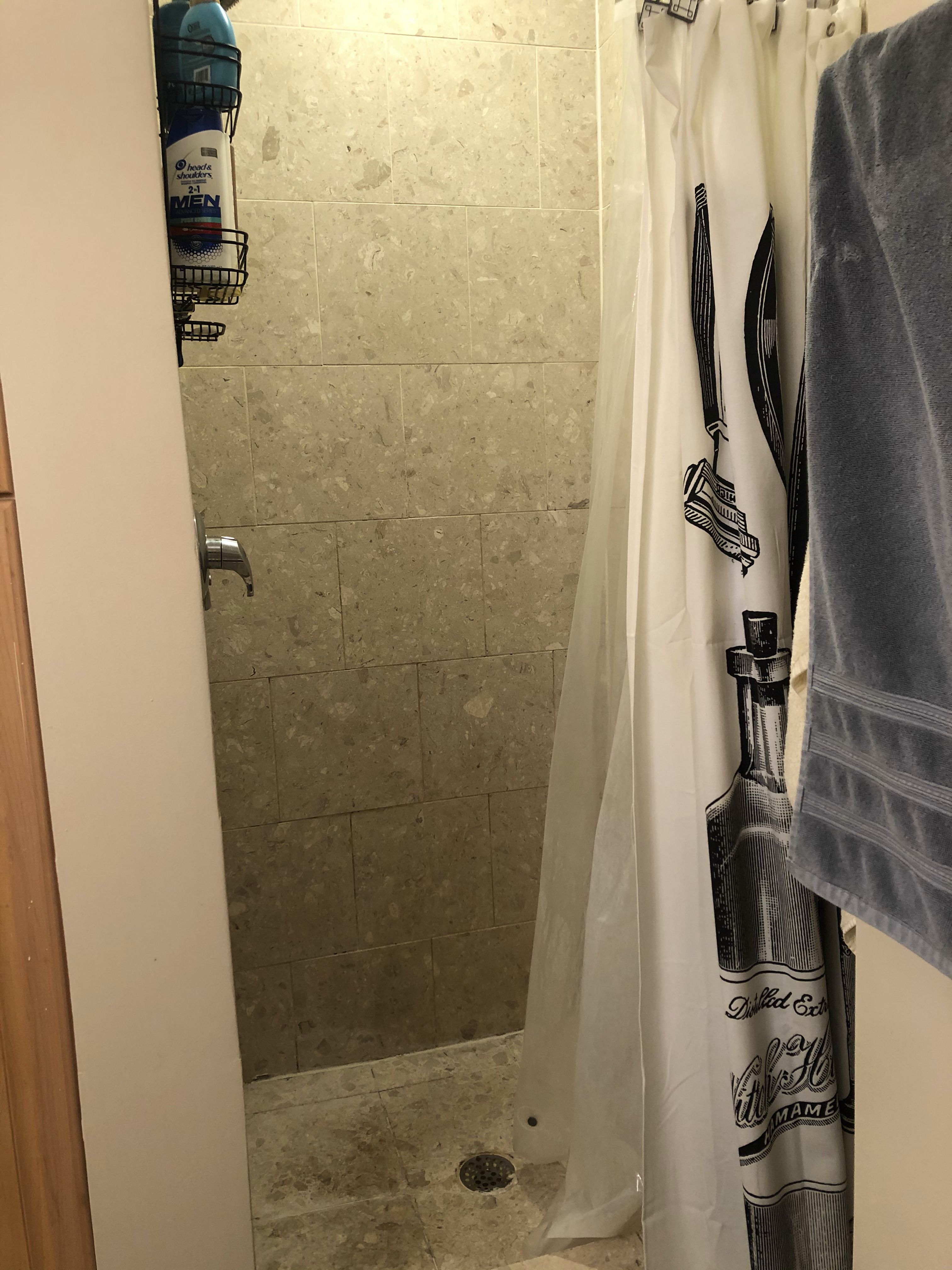 1 bed, 1 bath apartment for rent at 14 Lakeville Rd Unit 11, Jamaica Plain — photo 4 of 10