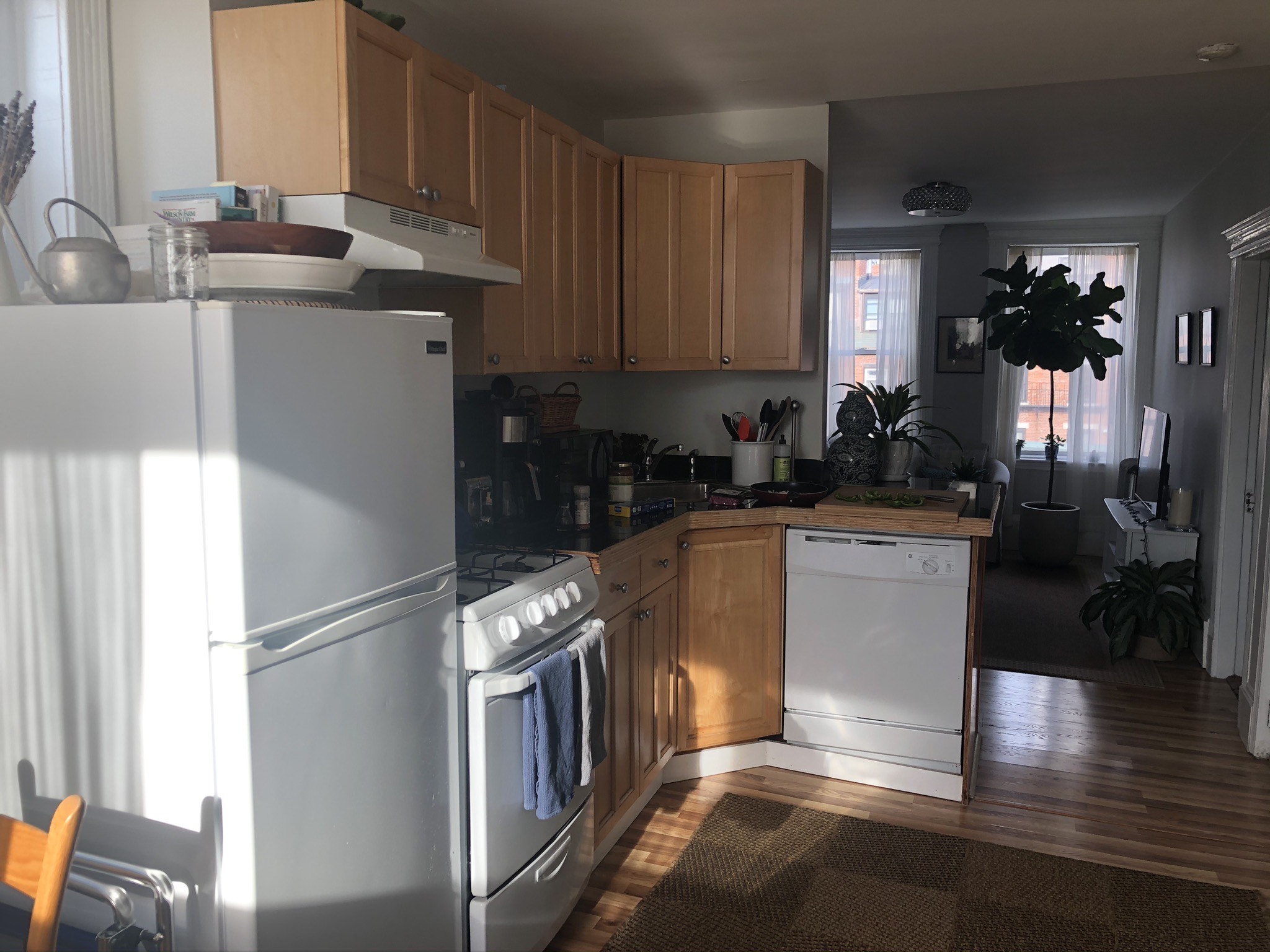 70 Joy St, Beacon Hill