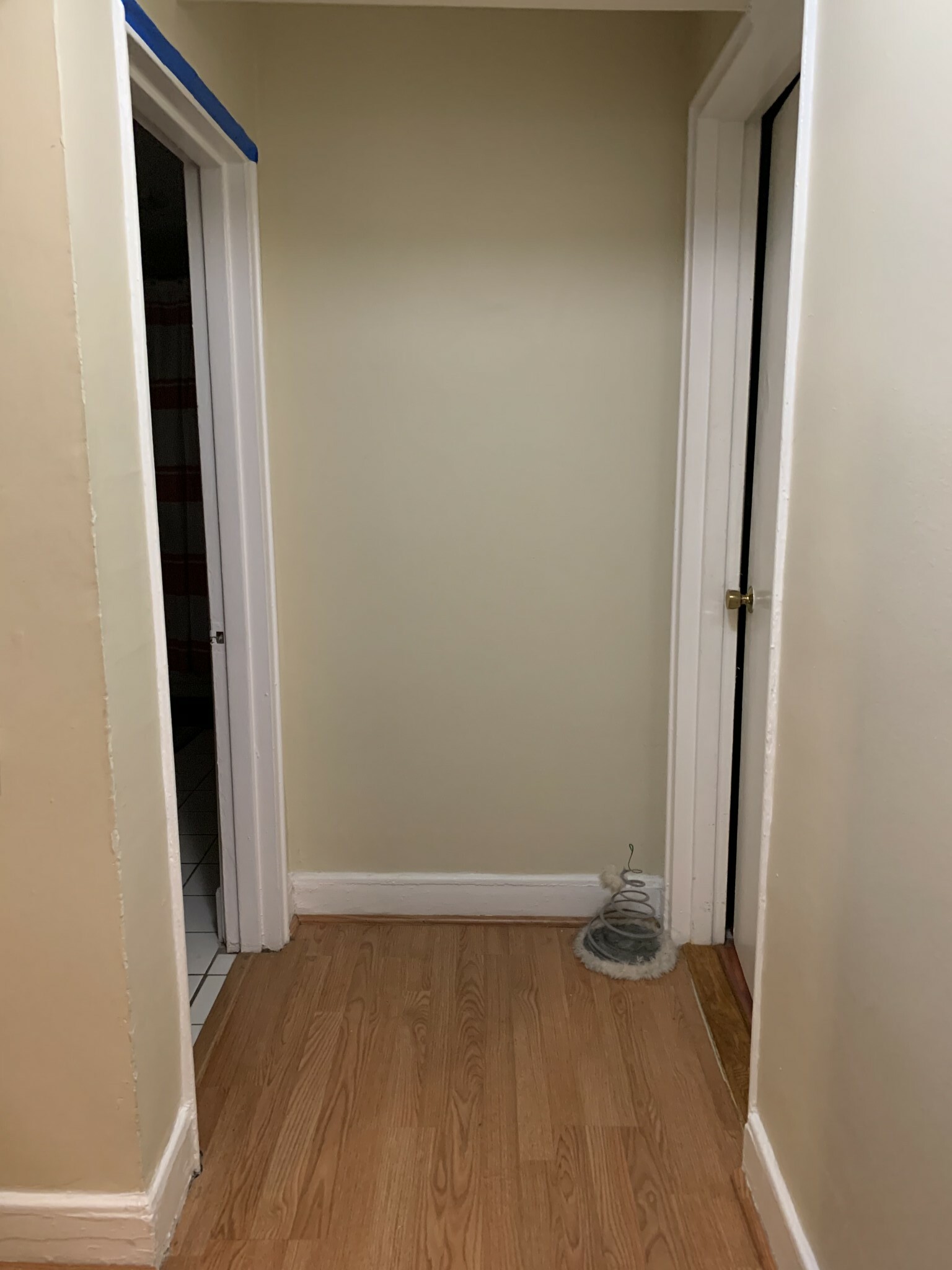 2 bed, 1 bath apartment for rent at 65 Chiswick Rd Unit 1A, Brighton — photo 12 of 13