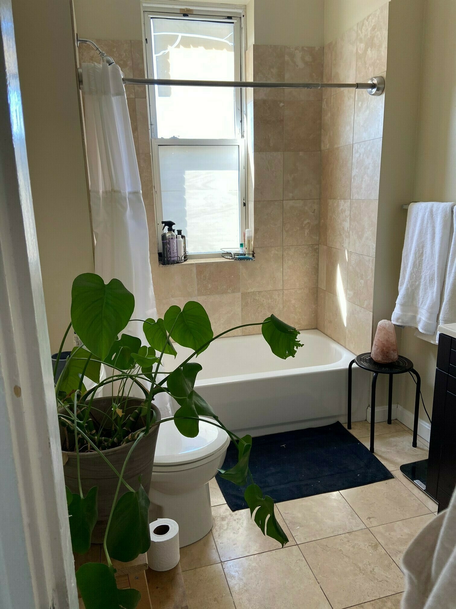 1197 Commonwealth Ave, Allston