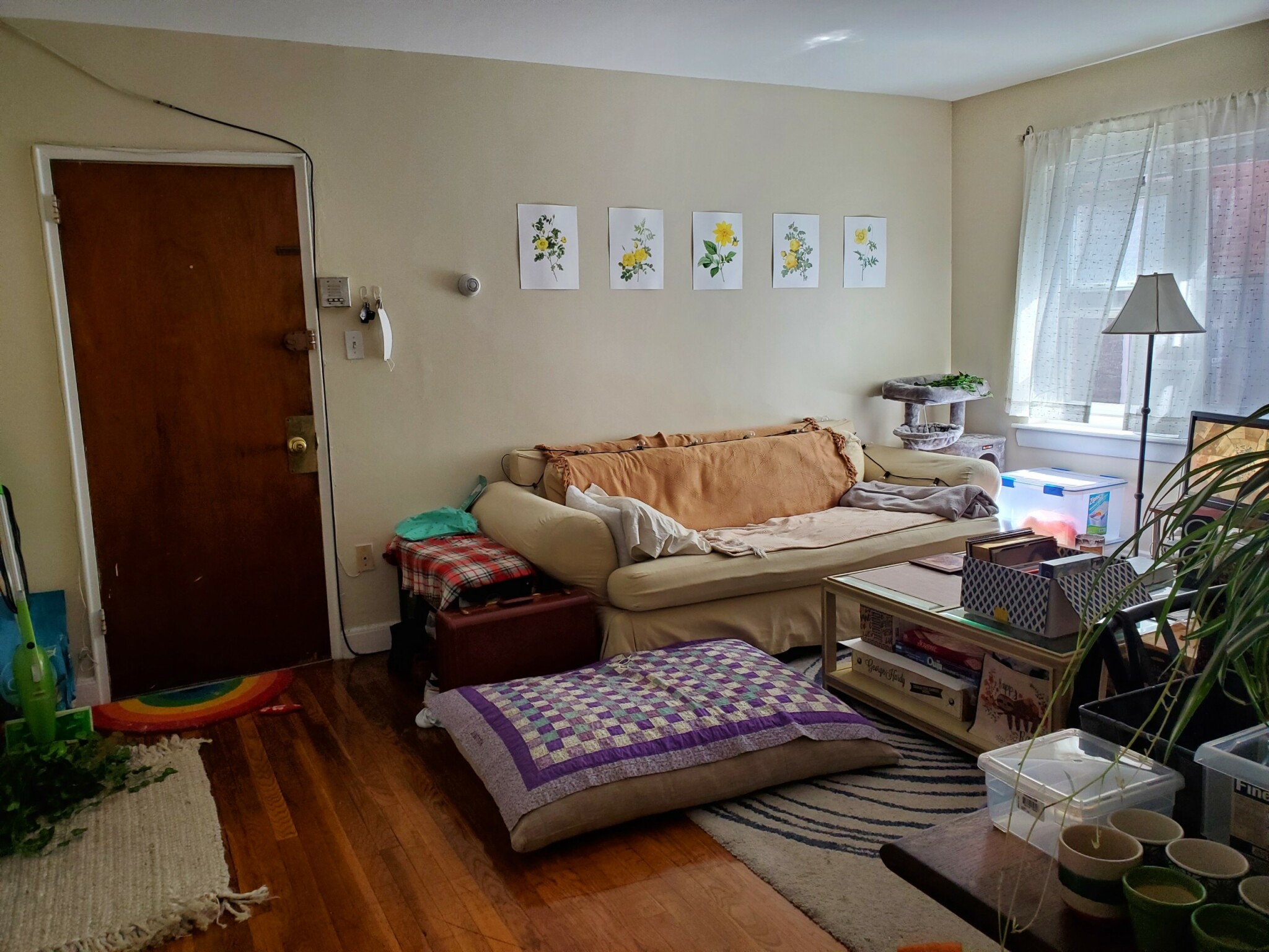 67 Chiswick Rd, Brighton