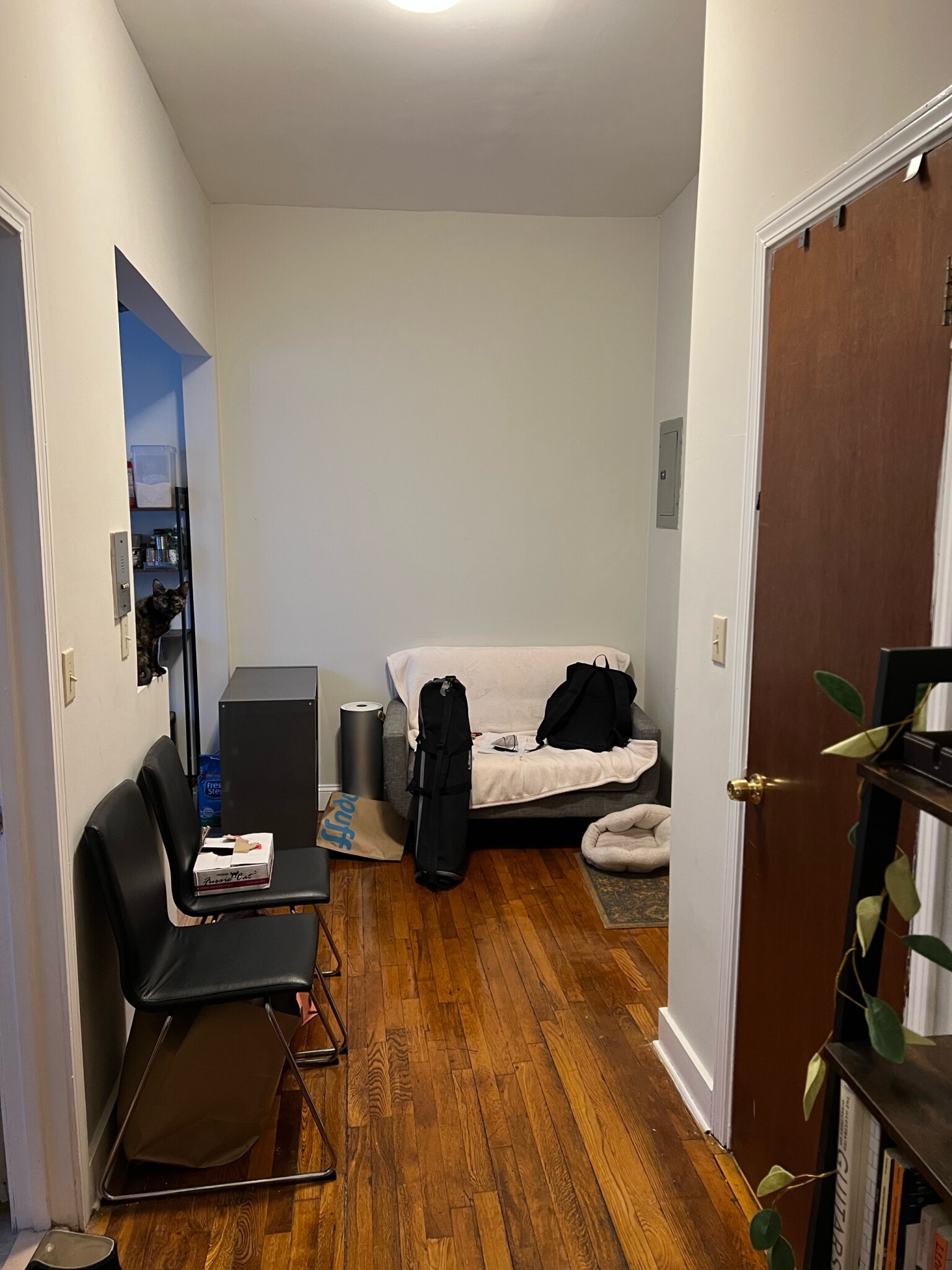 Studio bed, 1 bath apartment for rent at 1185 Commonwealth Ave Unit 44B, Allston — photo 8 of 14