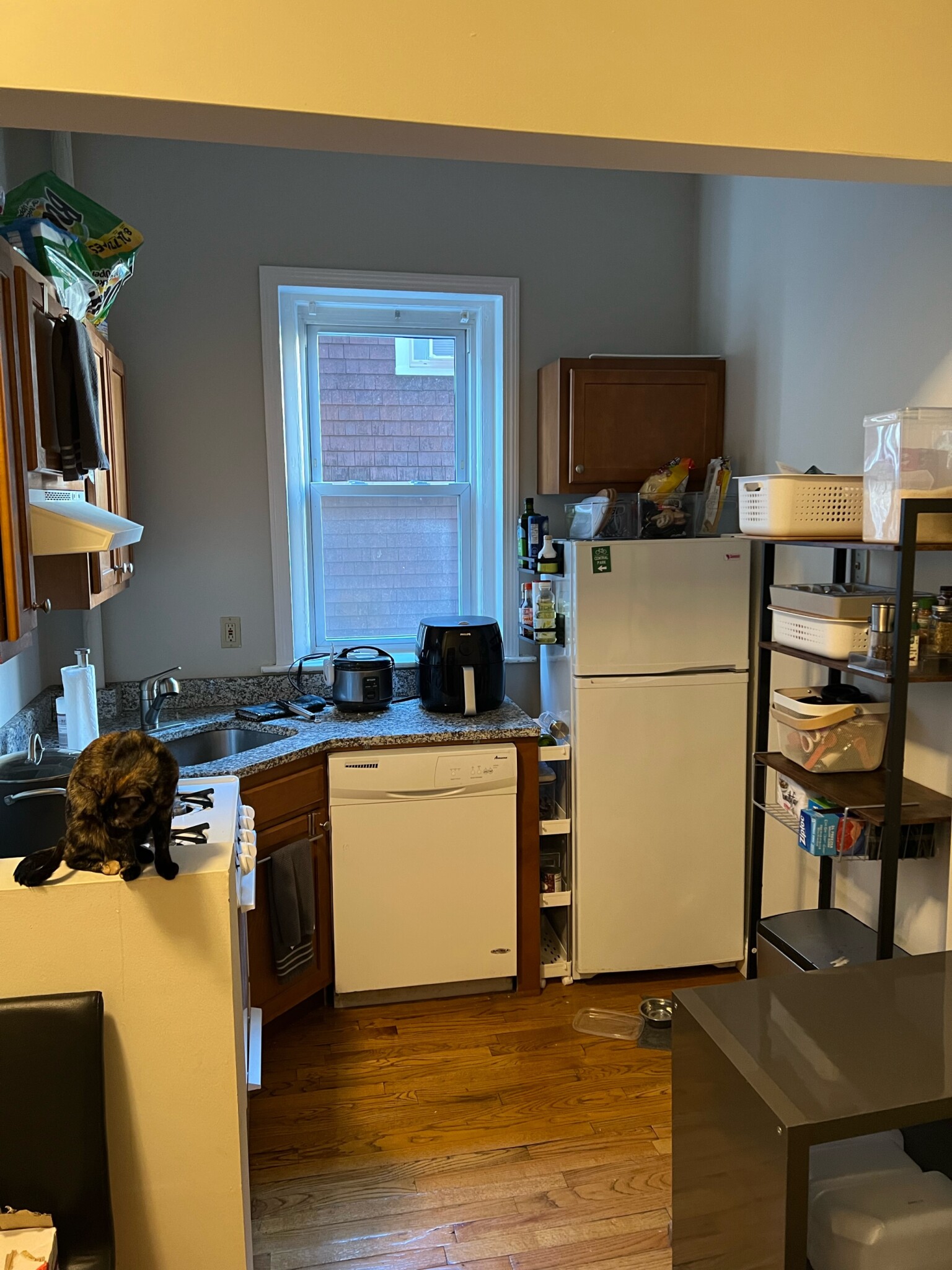 Studio bed, 1 bath apartment for rent at 1185 Commonwealth Ave Unit 44B, Allston — photo 9 of 14