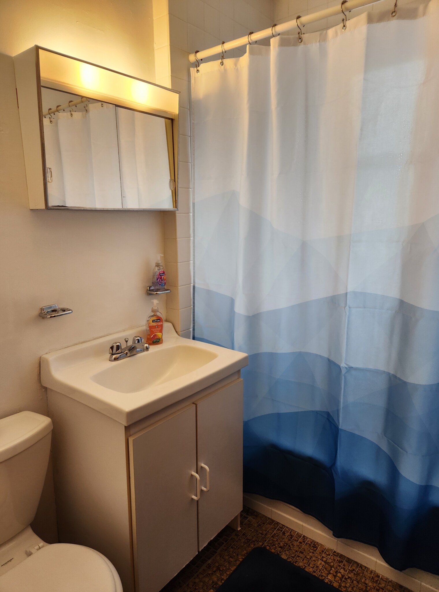 111 Norway St, Fenway